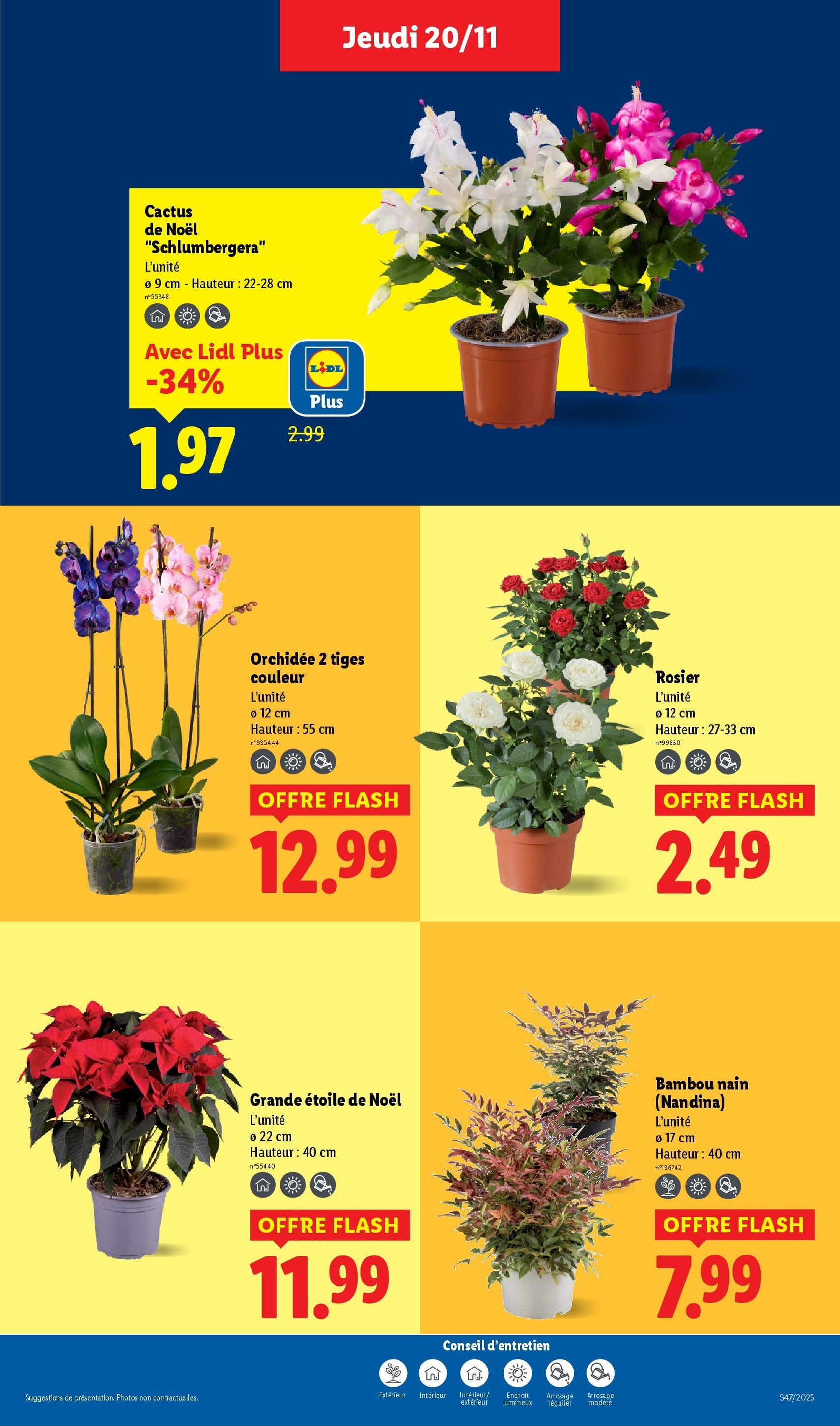 LIDL Black Friday - brochure valable à partir du 20/11/2025, page 37 sur 97