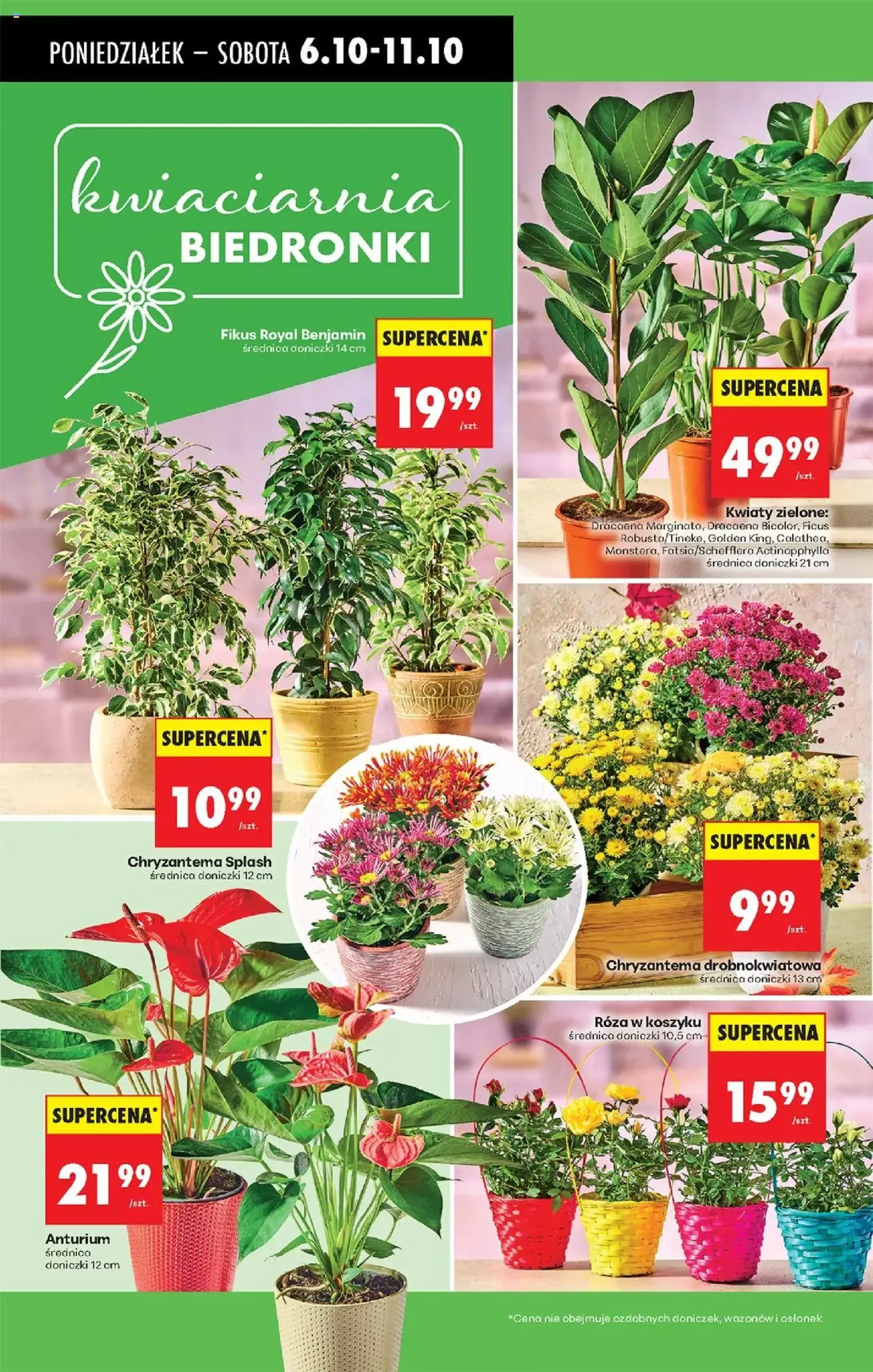 Biedronka gazetka - ważny gazetka od 06.10.2025 strona 26 z 88 Biedronka gazetka - ważny gazetka od 06.10.2025 strona 26 z 88