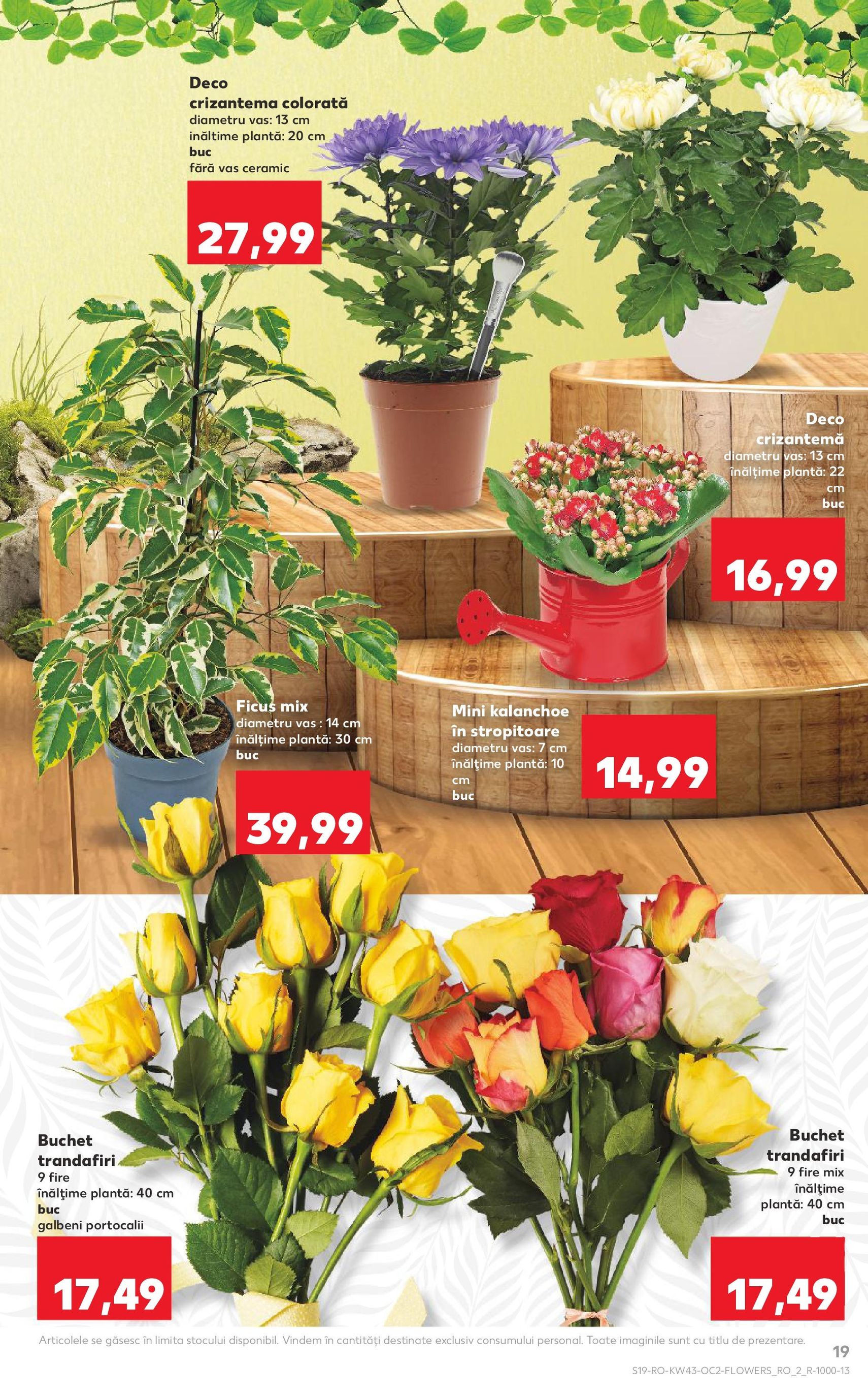 Catalog Kaufland - Bucureşti - cataloage valabile începând cu 22.10.2025 pagina 19 din 62 Catalog Kaufland - Bucureşti - cataloage valabile începând cu 22.10.2025 pagina 19 din 62