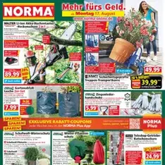 Norma Prospekt - Prospekt Vorschau gültig ab 17.08.2026