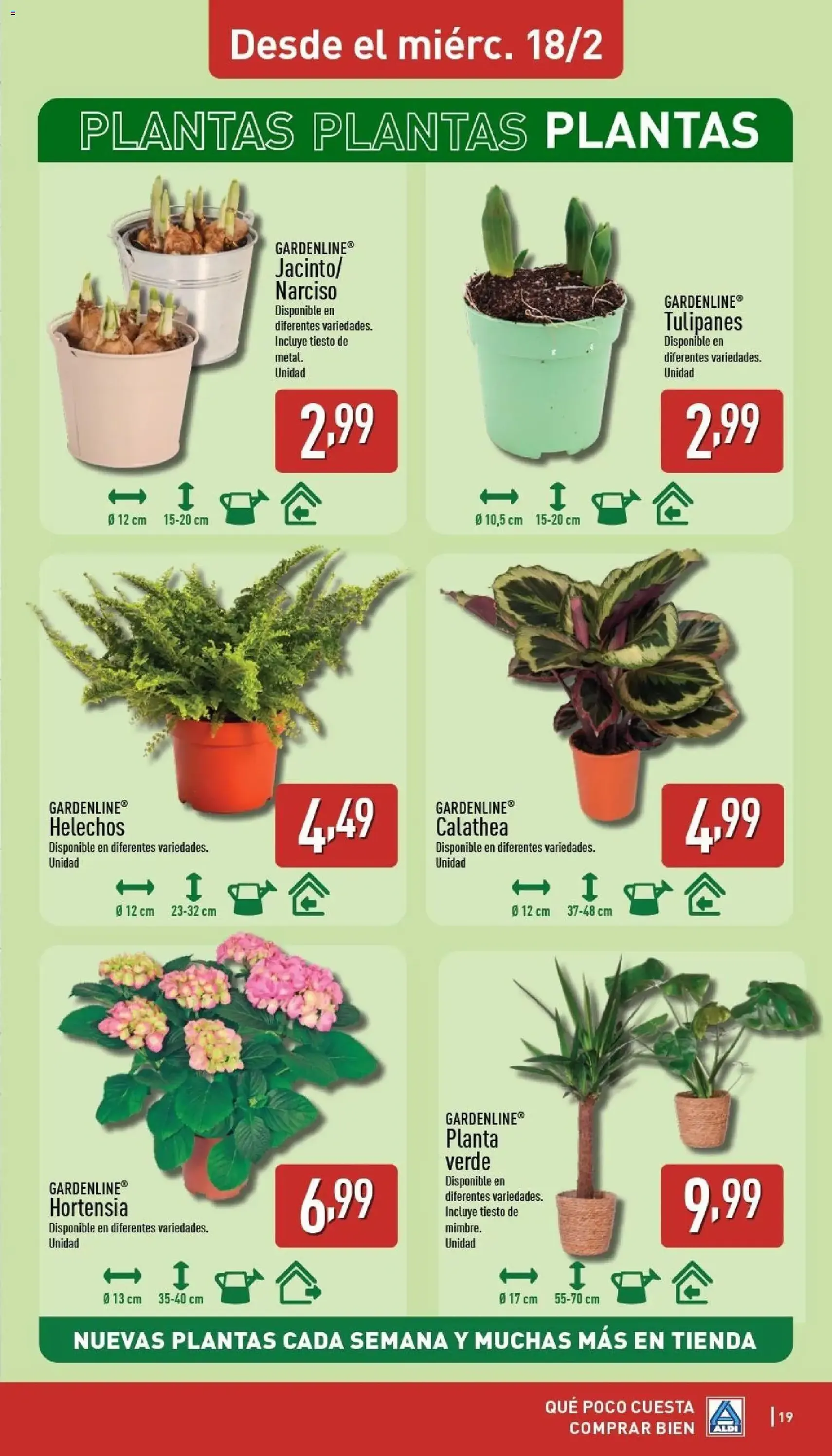 Aldi folleto Península - folleto válido desde 16/02/2026 página 19 de 28