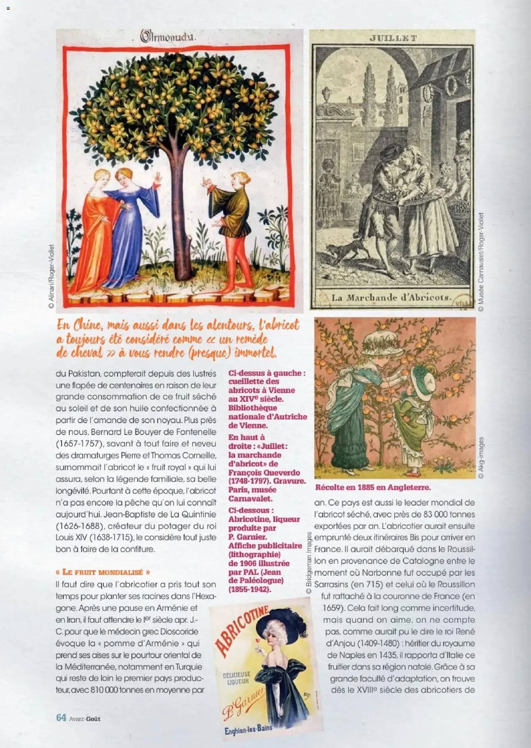Grand Frais - Eté 2026 - brochure valable à partir du 30/09/2026, page 64 sur 68