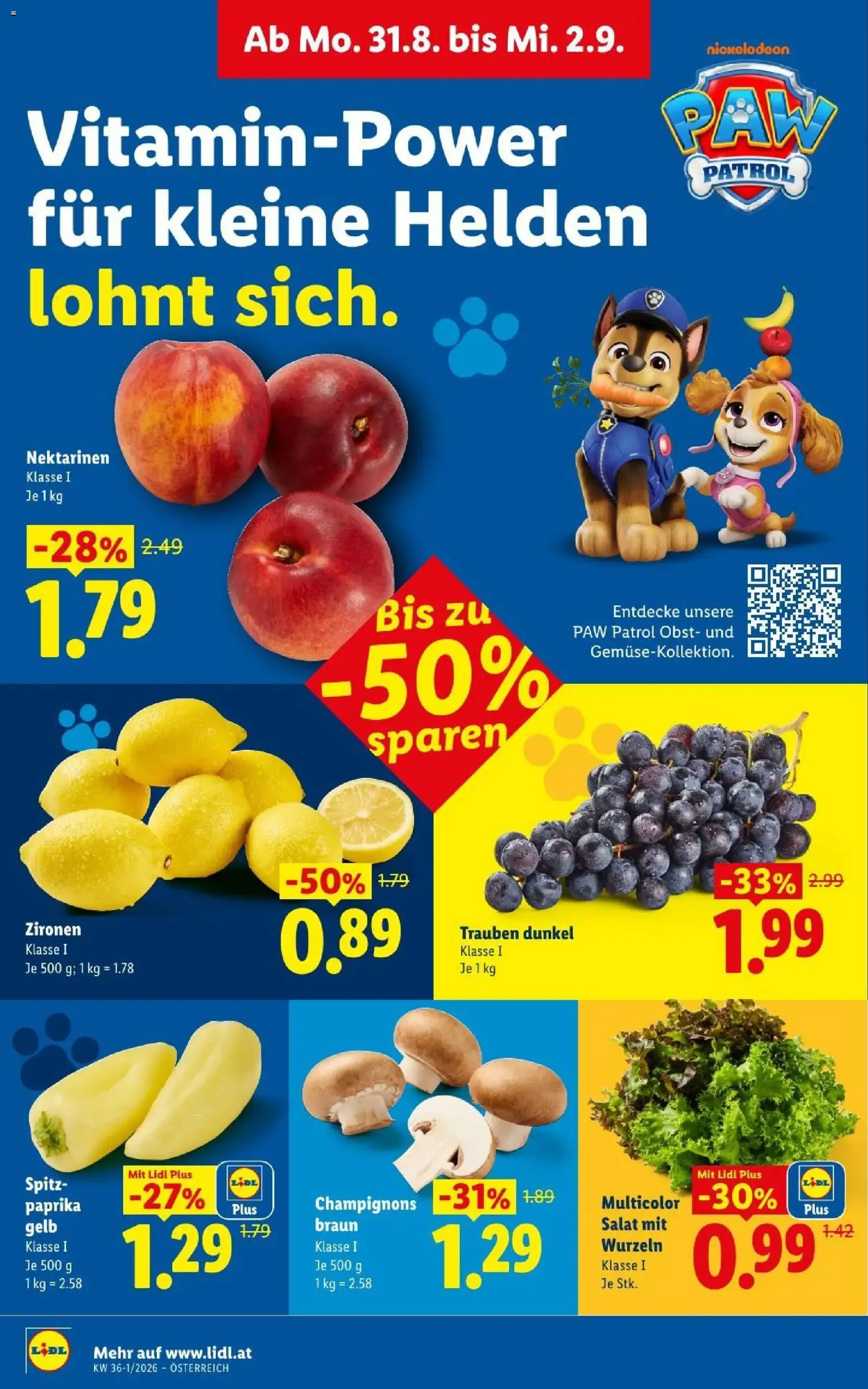 Lidl - Flugblatt - Gültiger Prospekt ab 27.08.2026, Seite 41 von insgesamt 55