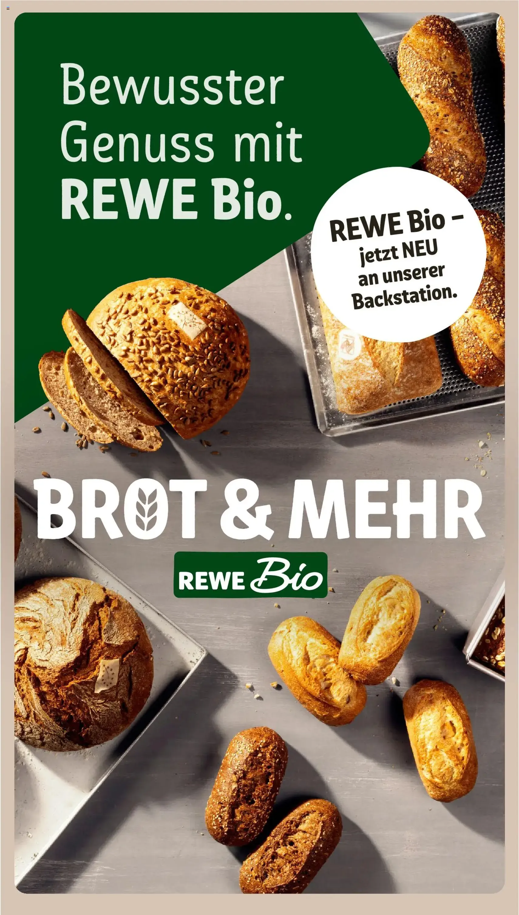 Rewe DE - DE Folder - geldige folder vanaf 22-06-2026 pagina 15 van 26