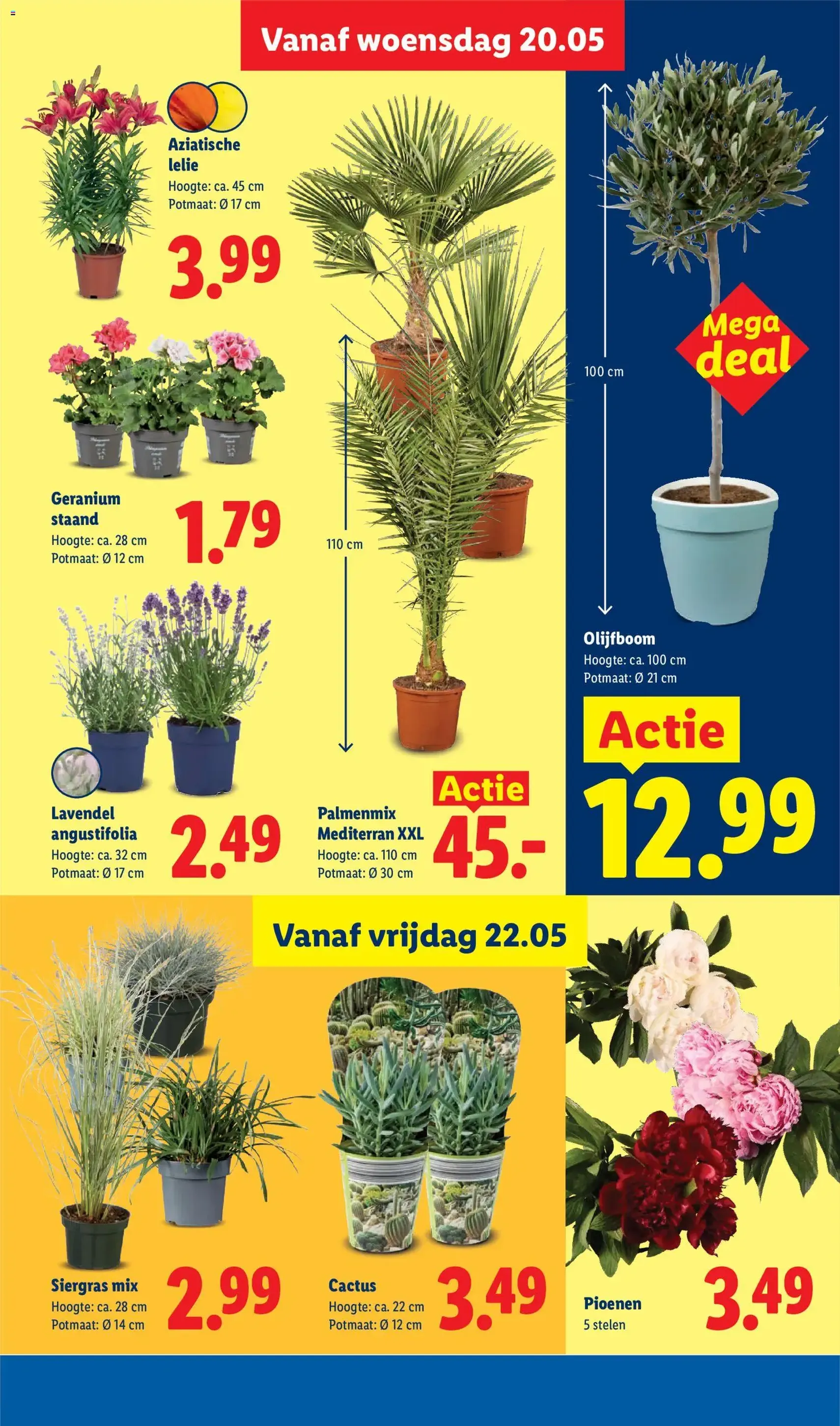 Lidl folder week 21 - geldige folder vanaf 18-05-2026 pagina 29 van 52