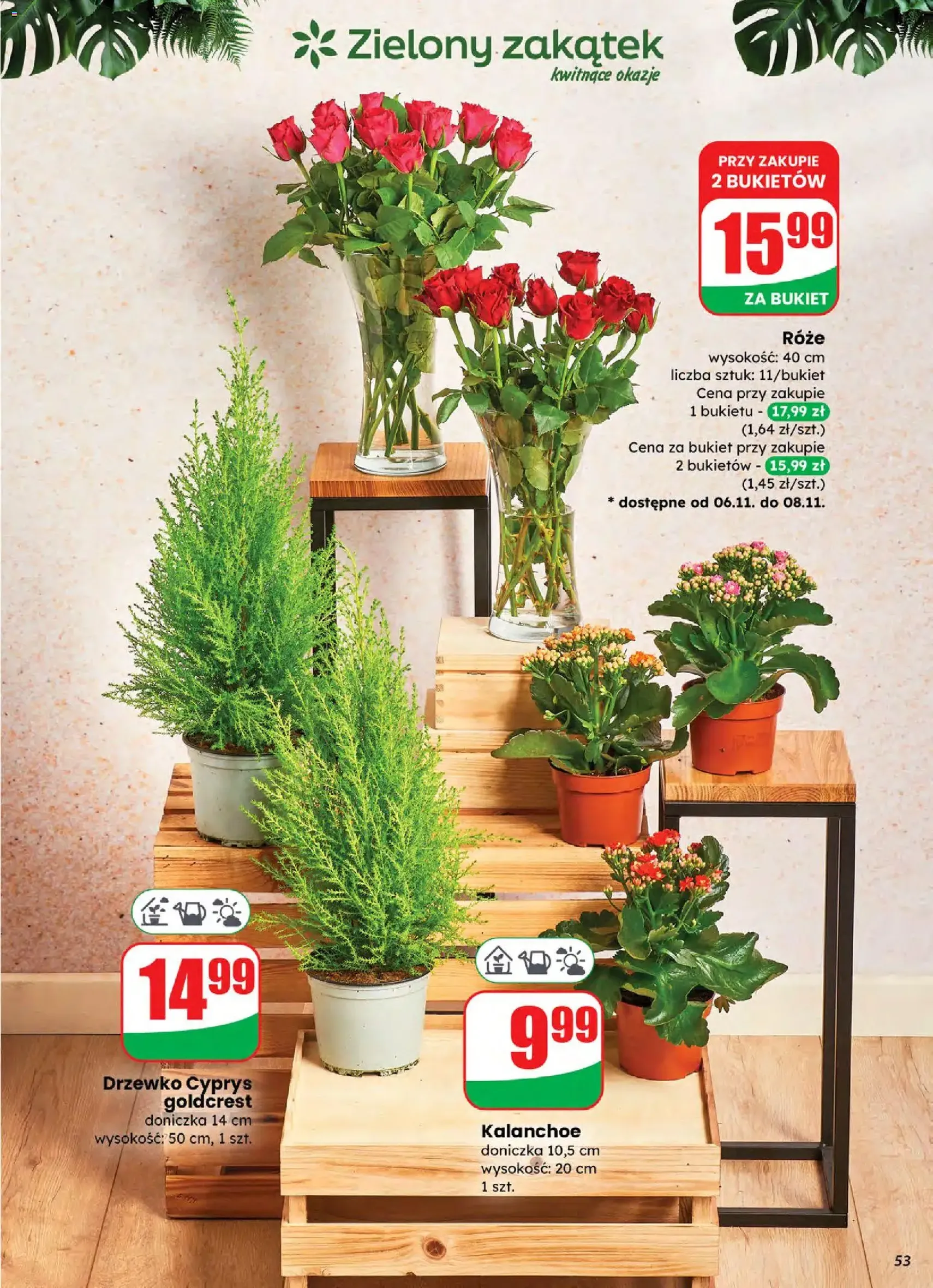 Dino Gazetka - ważny gazetka od 05.11.2025 strona 53 z 68