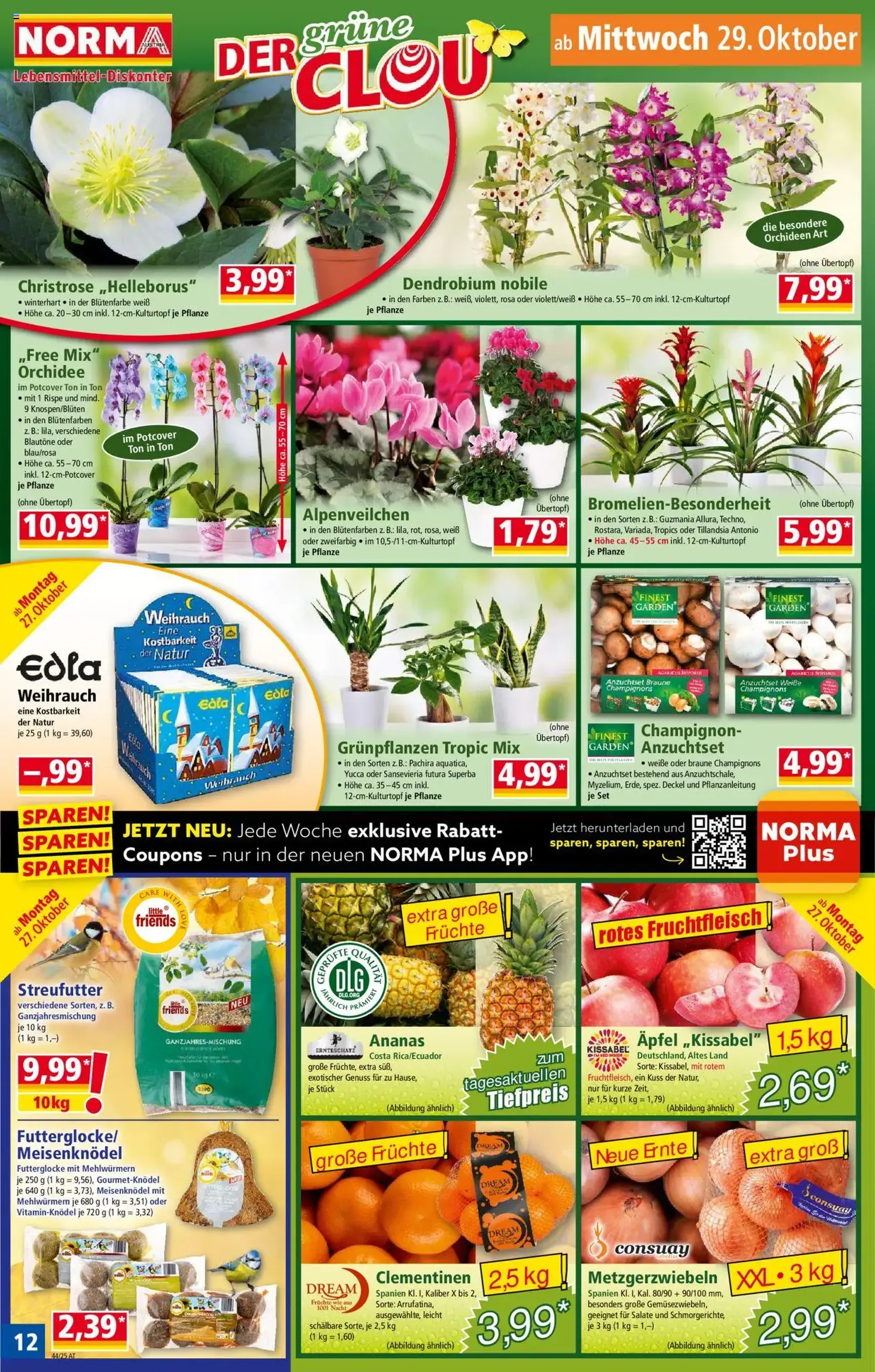 Norma Flugblatt - Gültiger Prospekt ab 27.10.2025, Seite 13 von insgesamt 19 Norma Flugblatt - Gültiger Prospekt ab 27.10.2025, Seite 13 von insgesamt 19