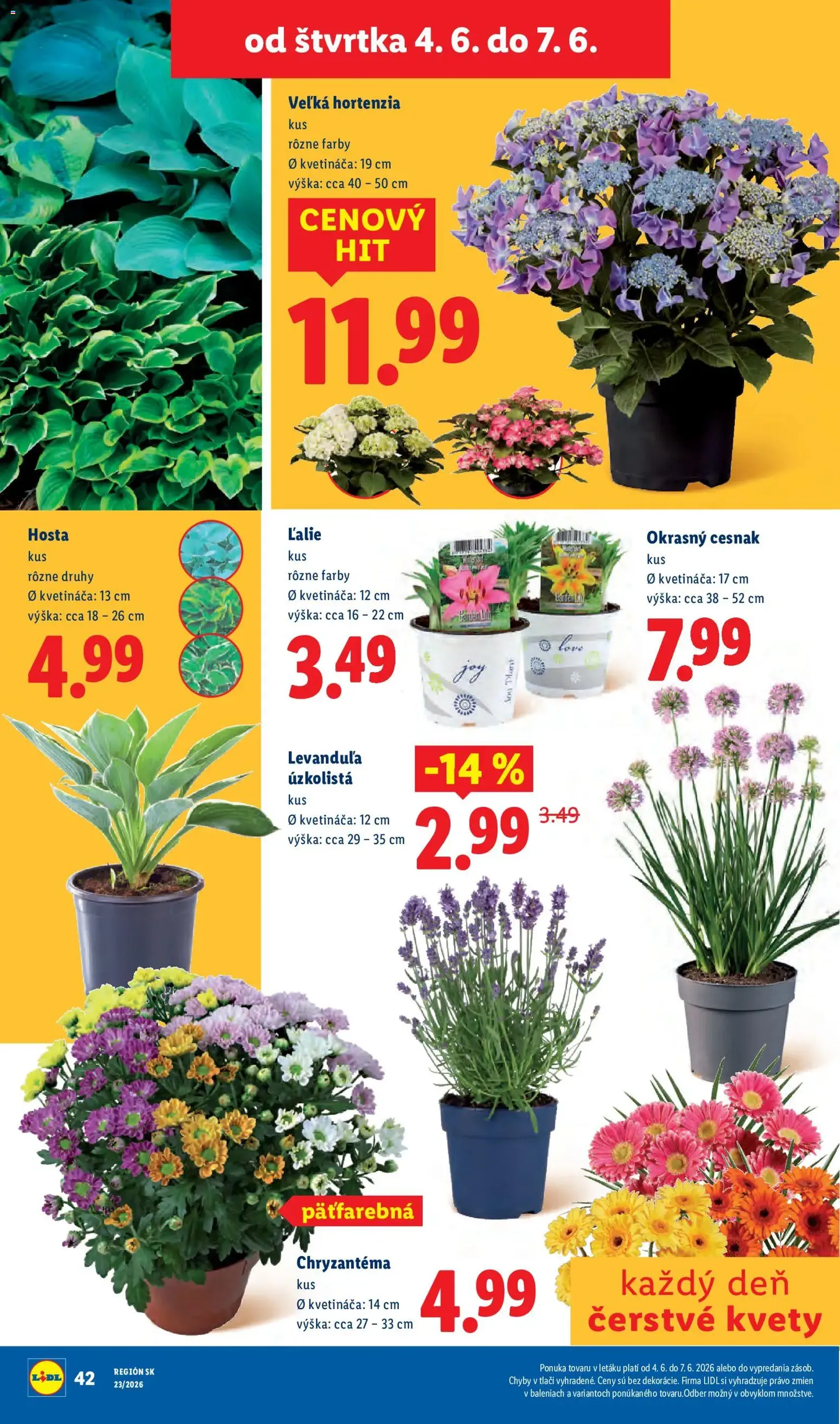 Lidl leták - platný leták od 01.06.2026 strana 78 z 97