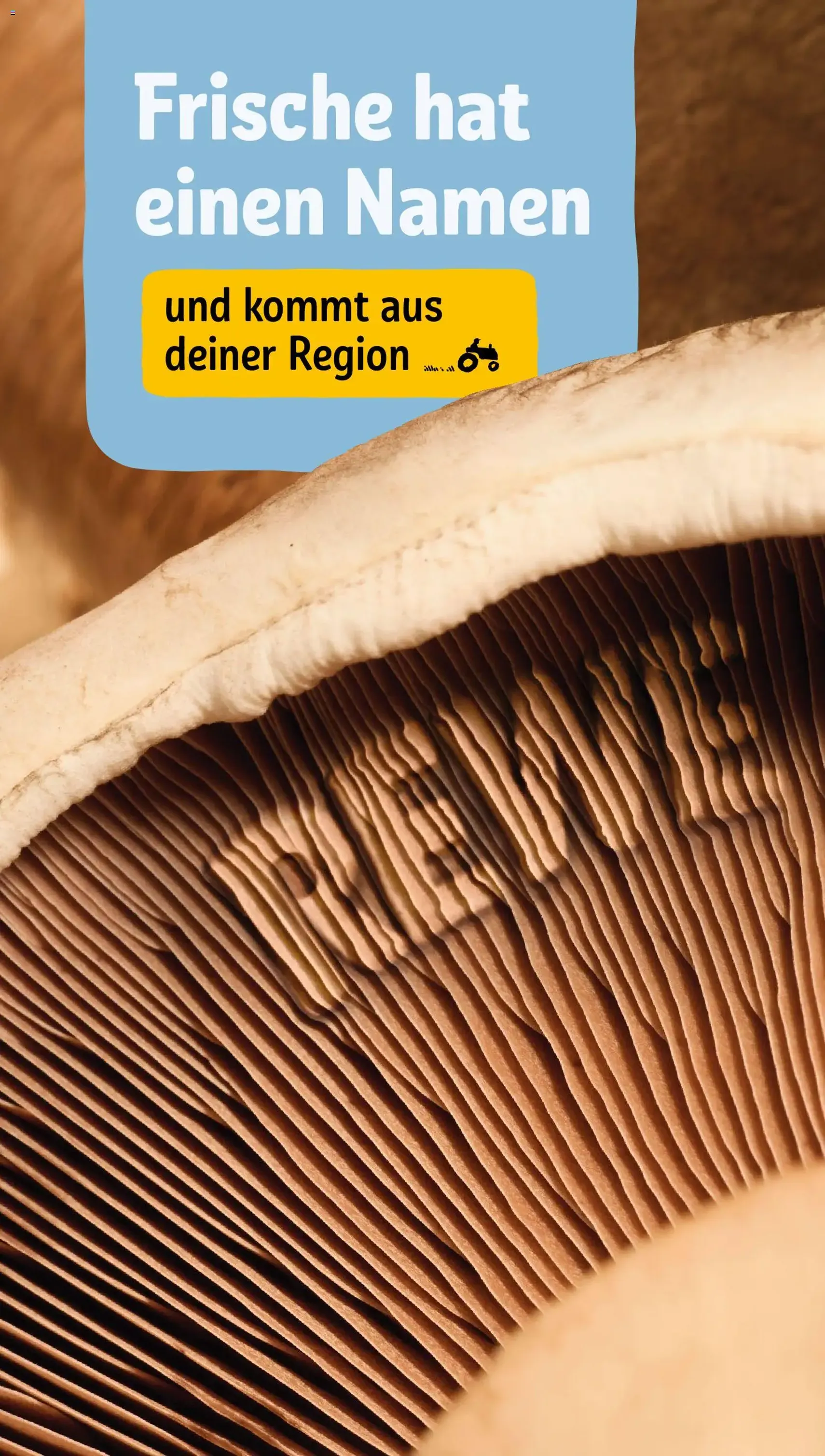 Rewe DE - DE Folder - geldige folder vanaf 27-07-2026 pagina 17 van 26