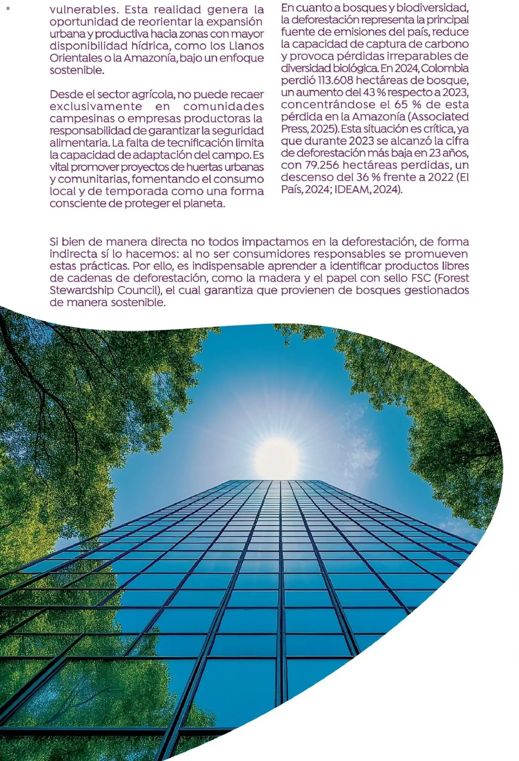 Colsubsidio - Catálogo - folleto válido desde 01/10/2025 página 42 de 48