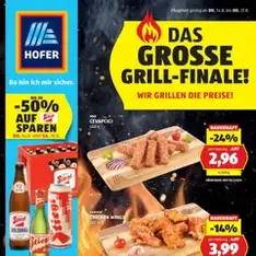 Hofer Flugblatt - Prospekt Vorschau gültig ab 14.08.2025