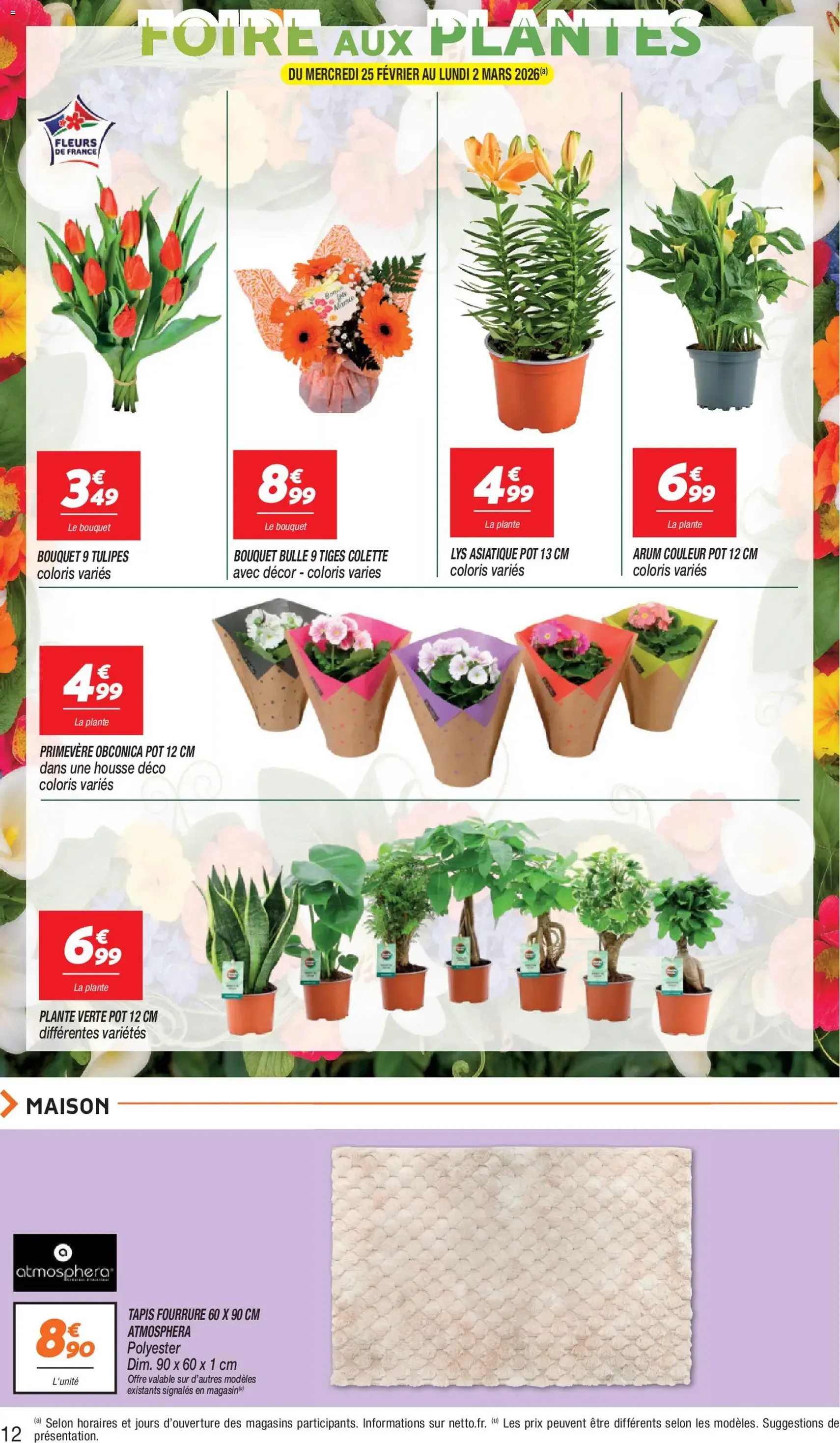 Netto catalogue - brochure valable à partir du 24/02/2026, page 12 sur 14