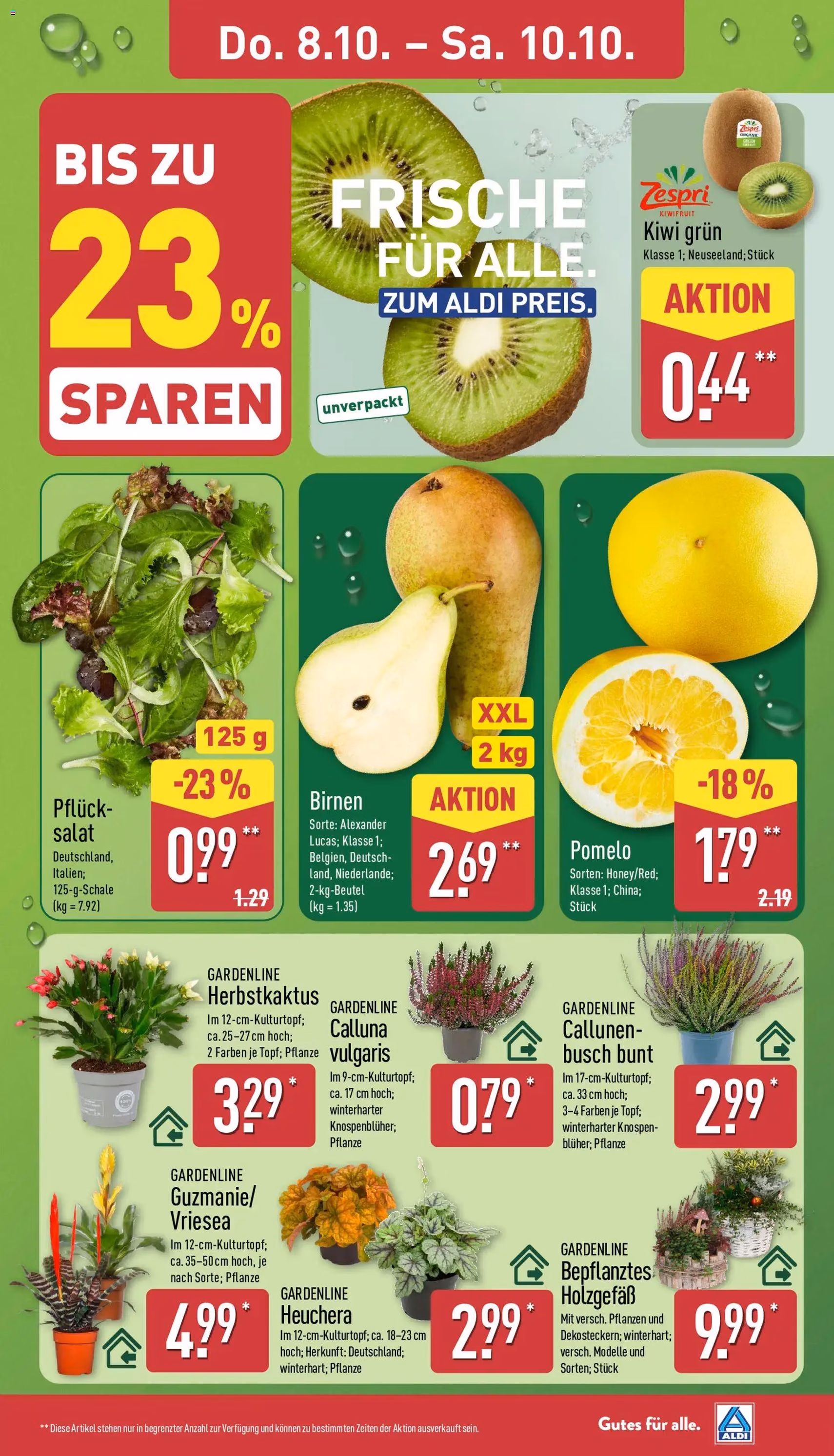Aldi Prospekt - Gültiger Prospekt ab 05.10.2026, Seite 31 von insgesamt 48