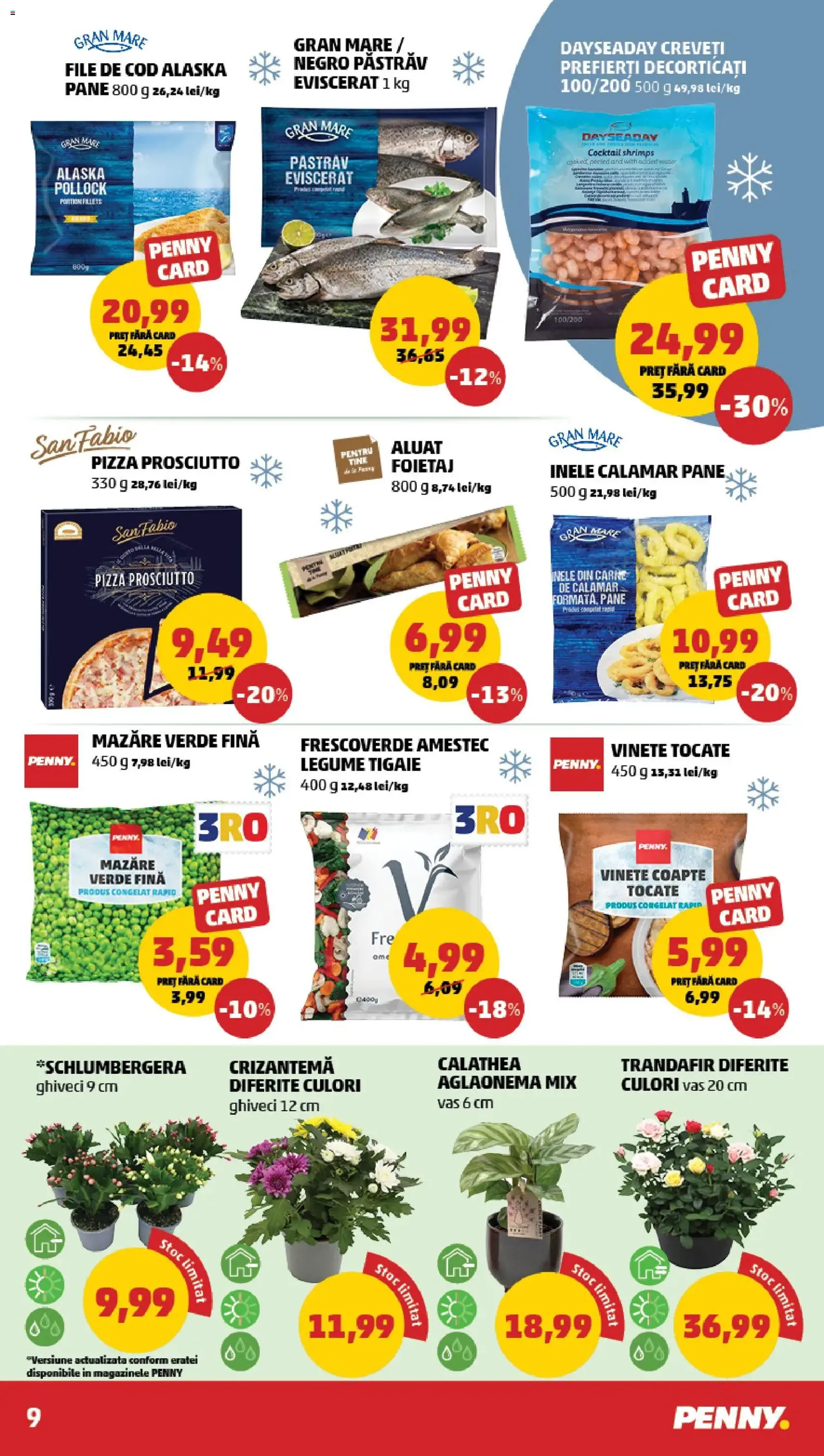 Catalog PENNY - cataloage valabile începând cu 12.11.2025 pagina 9 din 24