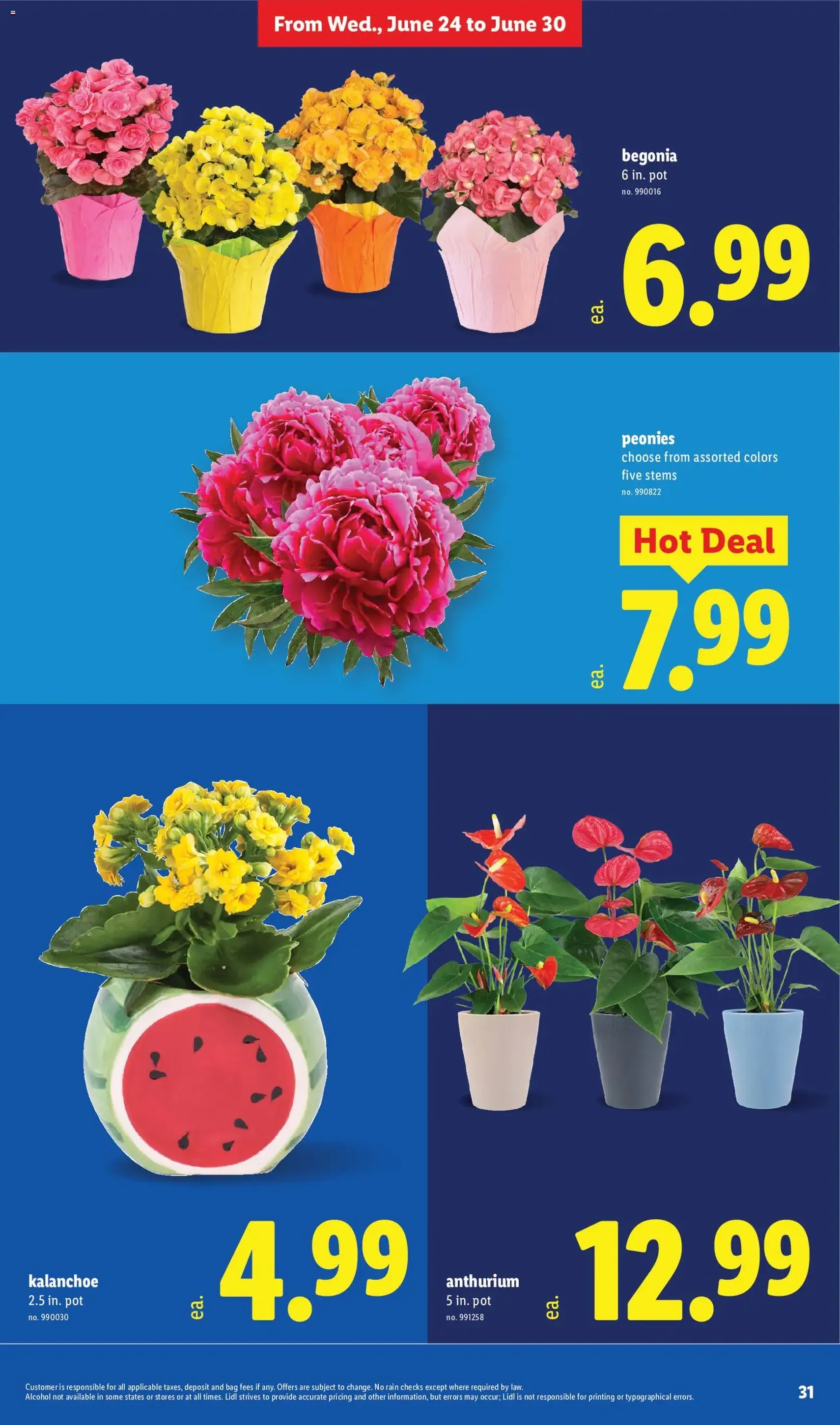 Lidl Weekly Ad - valid flyer from 06/24/2026, page 31 of 40