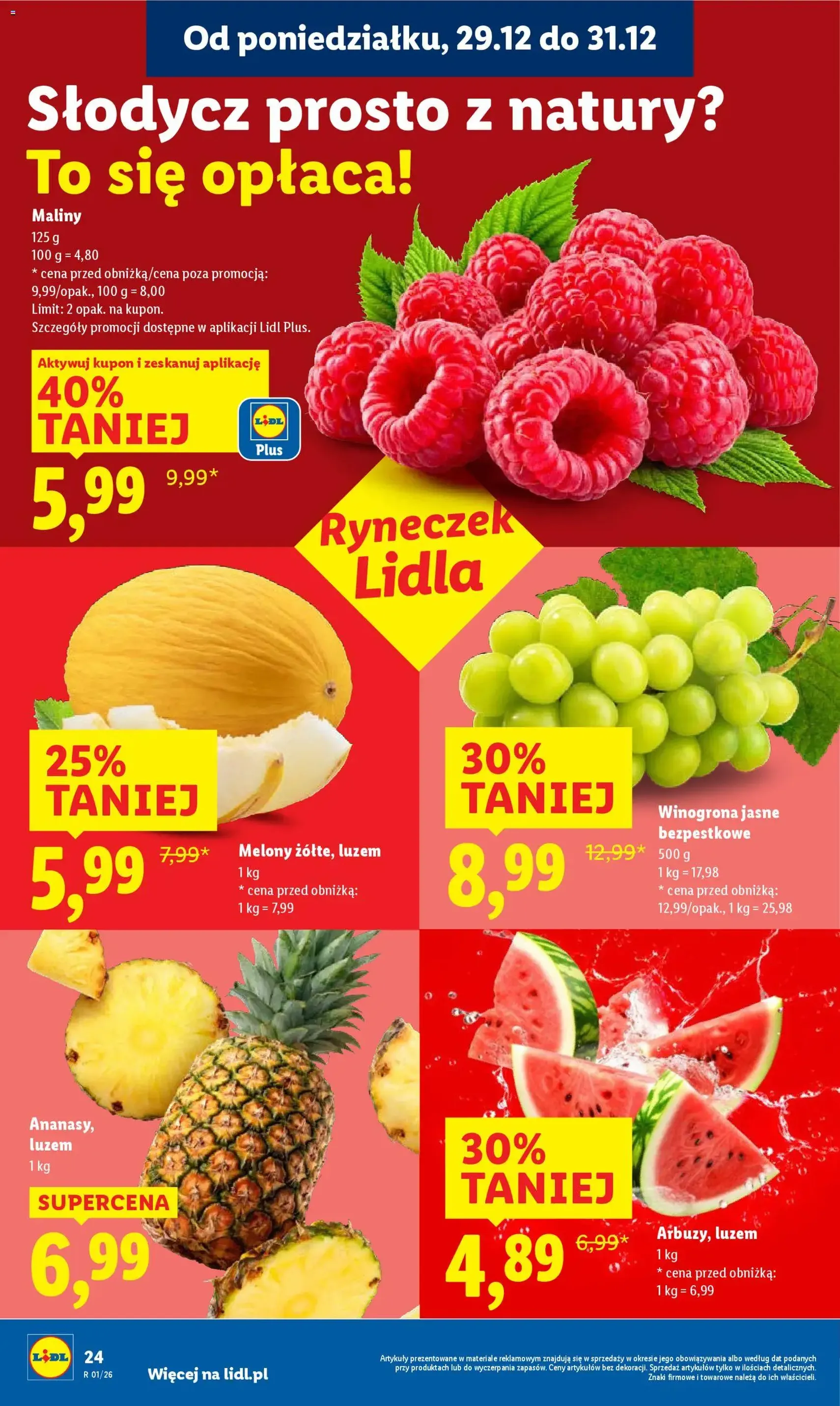 Lidl Gazetka - ważny gazetka od 29.12.2025 strona 24 z 64