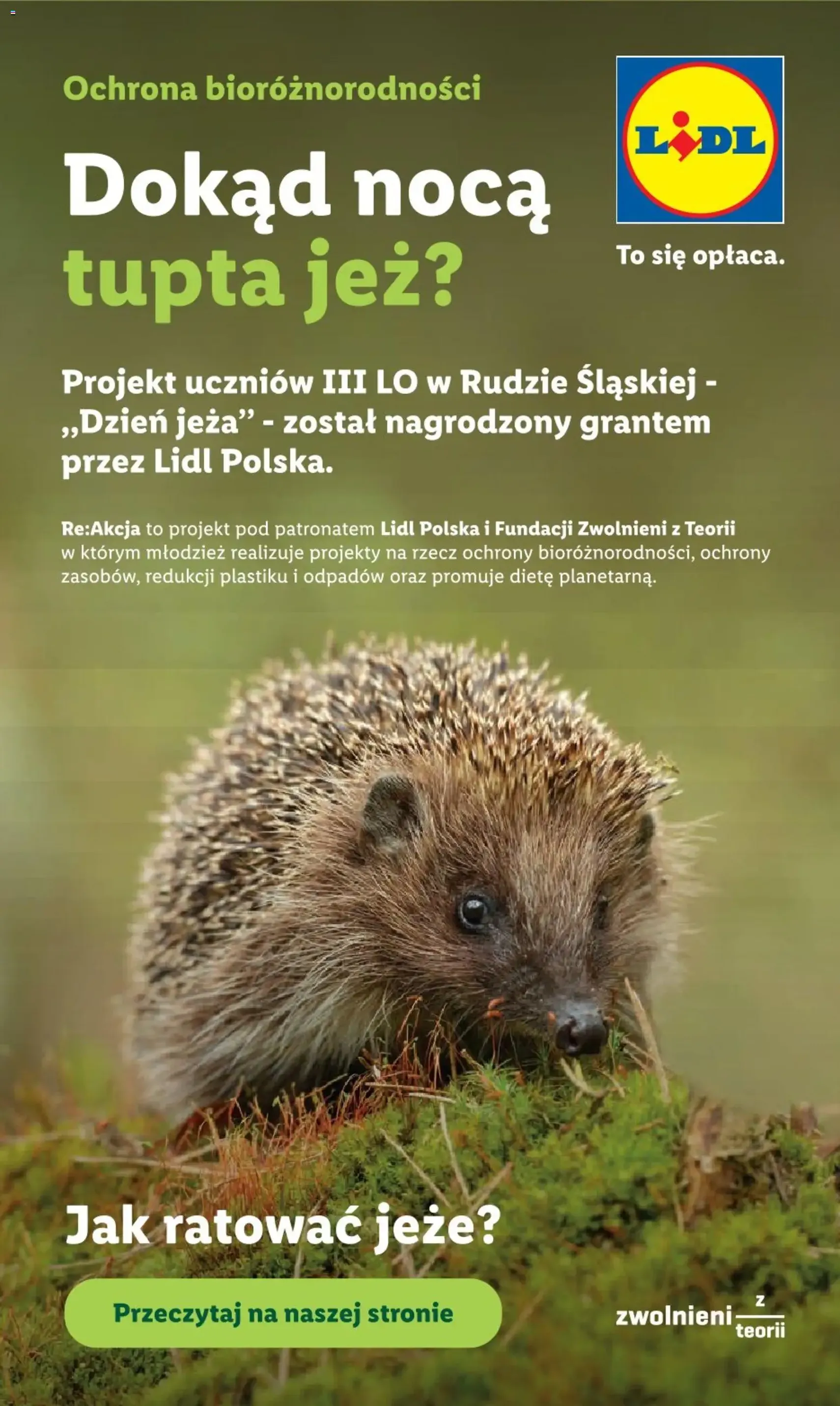 Lidl gazetka - ważny gazetka od 06.07.2026 strona 90 z 90