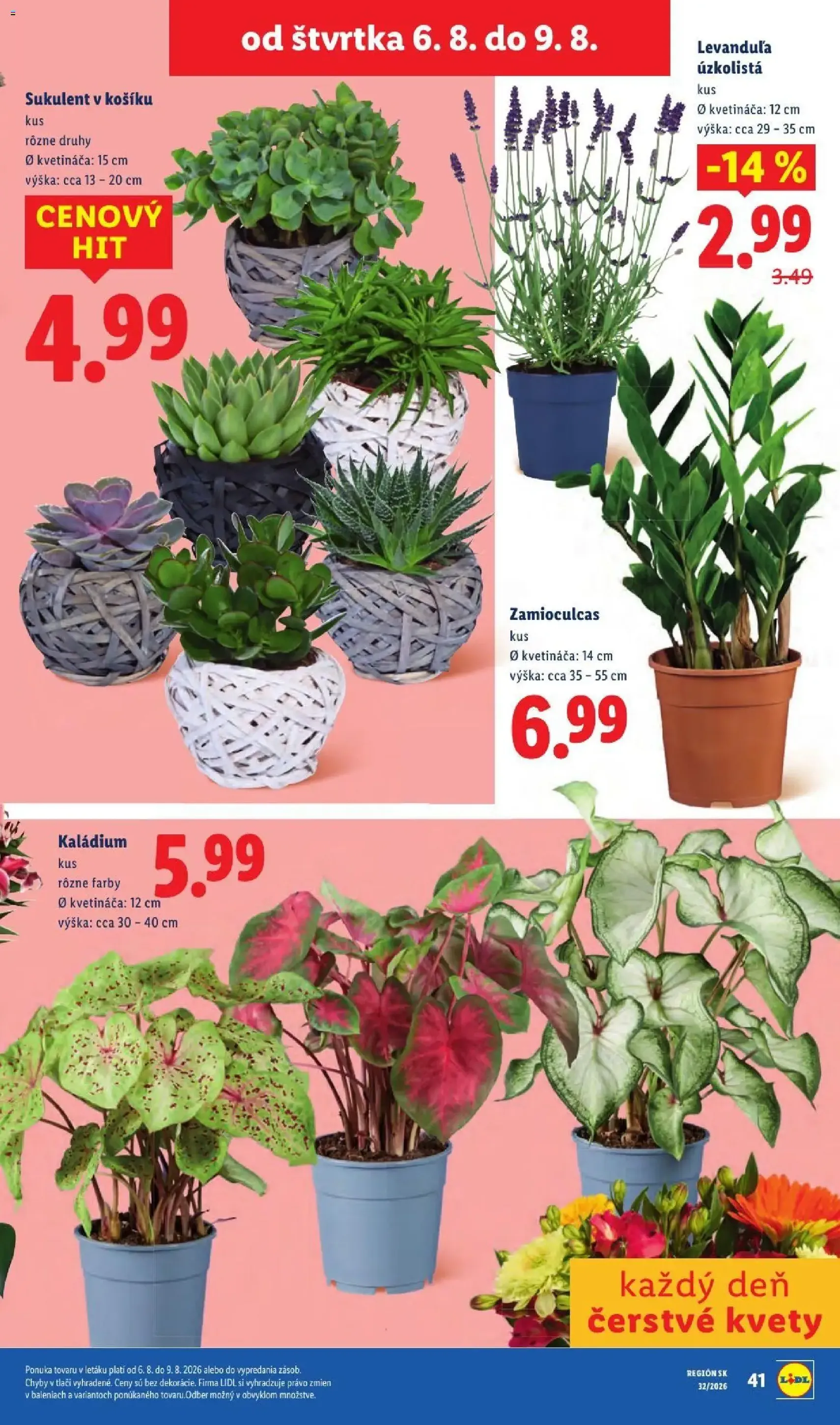 Lidl leták - platný leták od 03.08.2026 strana 93 z 95