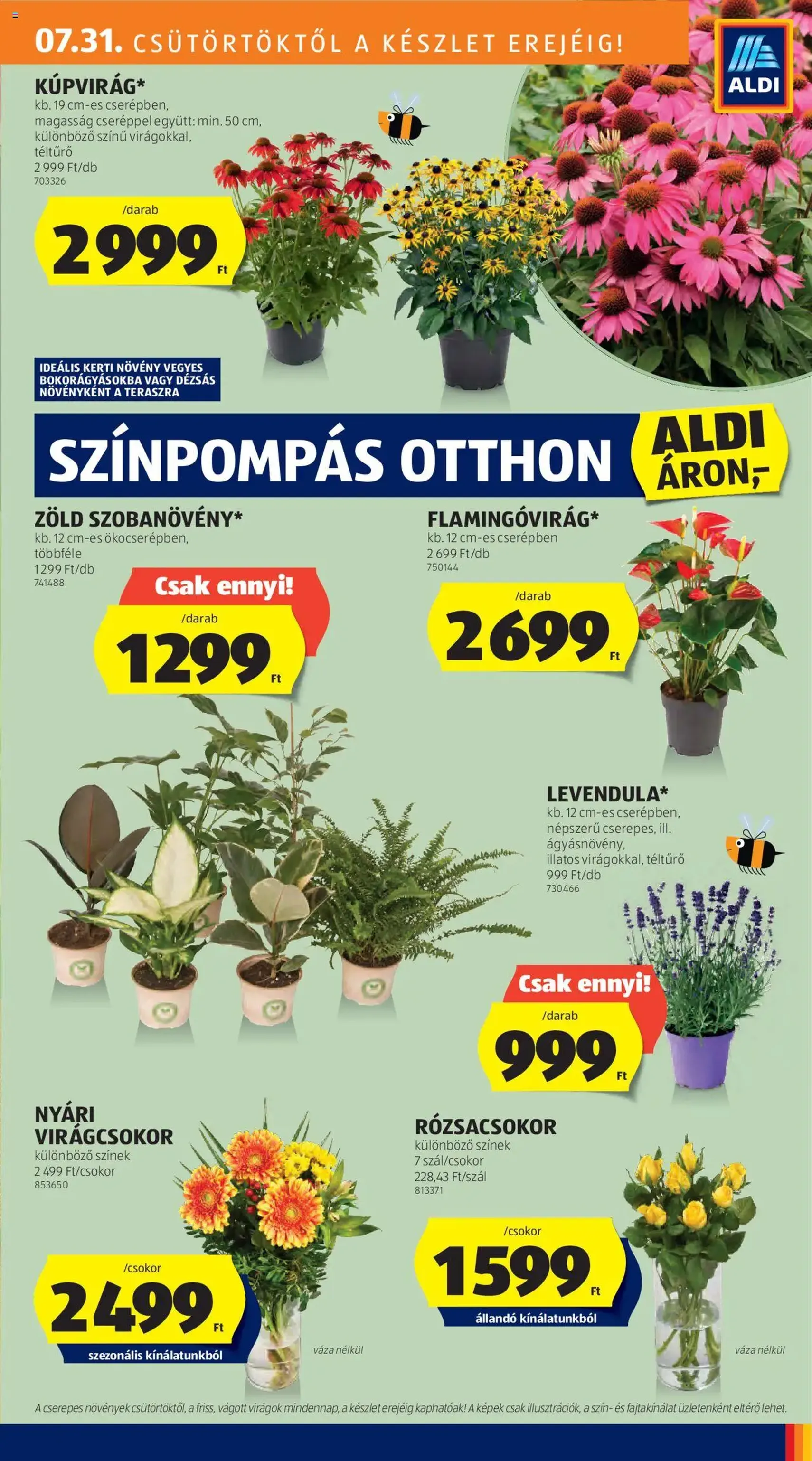 Aldi Akciós újság - 2025.07.31. érvényes szórólap 29 oldal 54 oldalból Aldi Akciós újság - 2025.07.31. érvényes szórólap 29 oldal 54 oldalból
