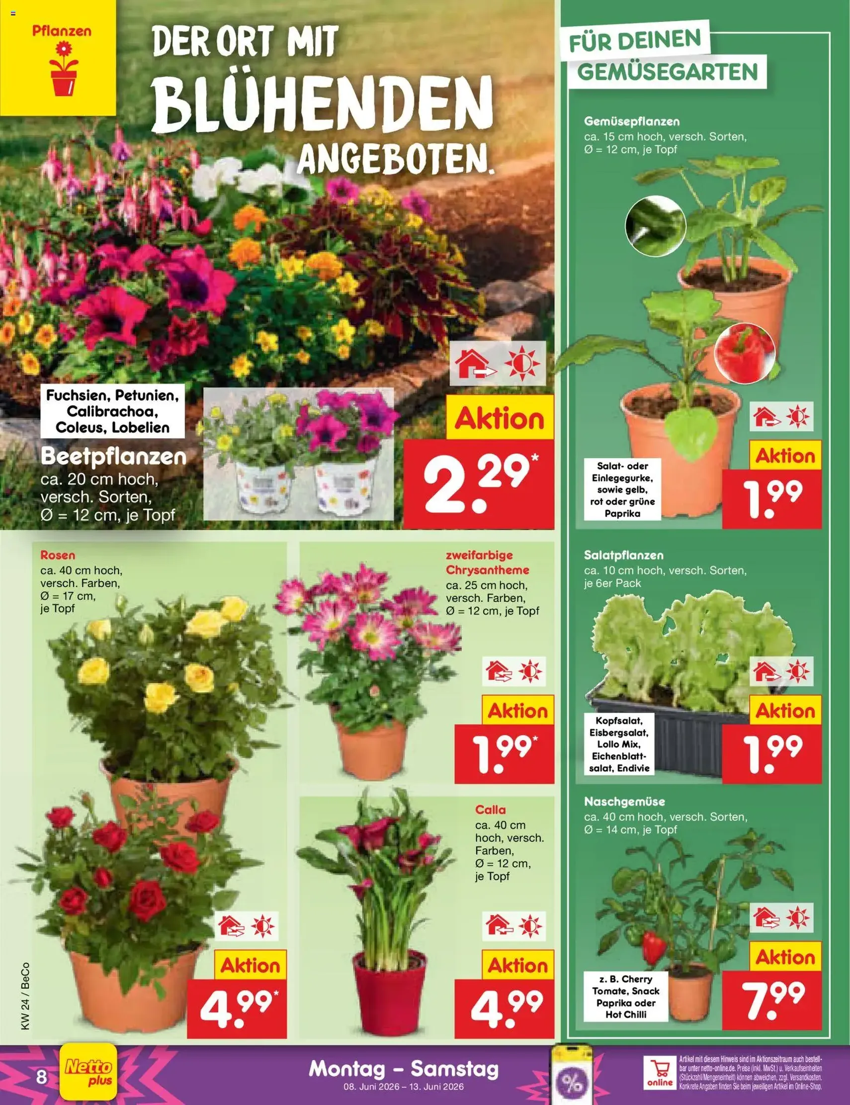 Netto Marken-Discount Prospekt - Gültiger Prospekt ab 08.06.2026, Seite 12 von insgesamt 60