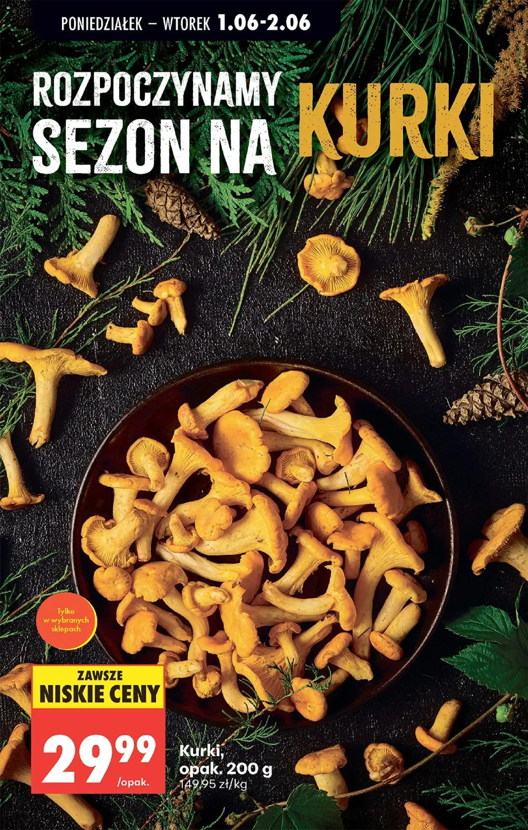 Biedronka gazetka od poniedziałku - ważny gazetka od 01.06.2026 strona 29 z 95
