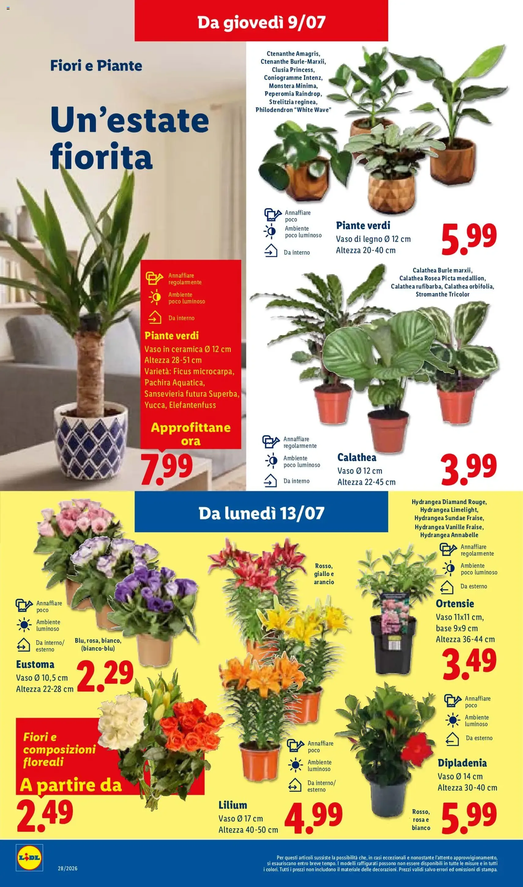 Lidl volantino - volantino valido dal 09/07/2026 pagina 36 di 51