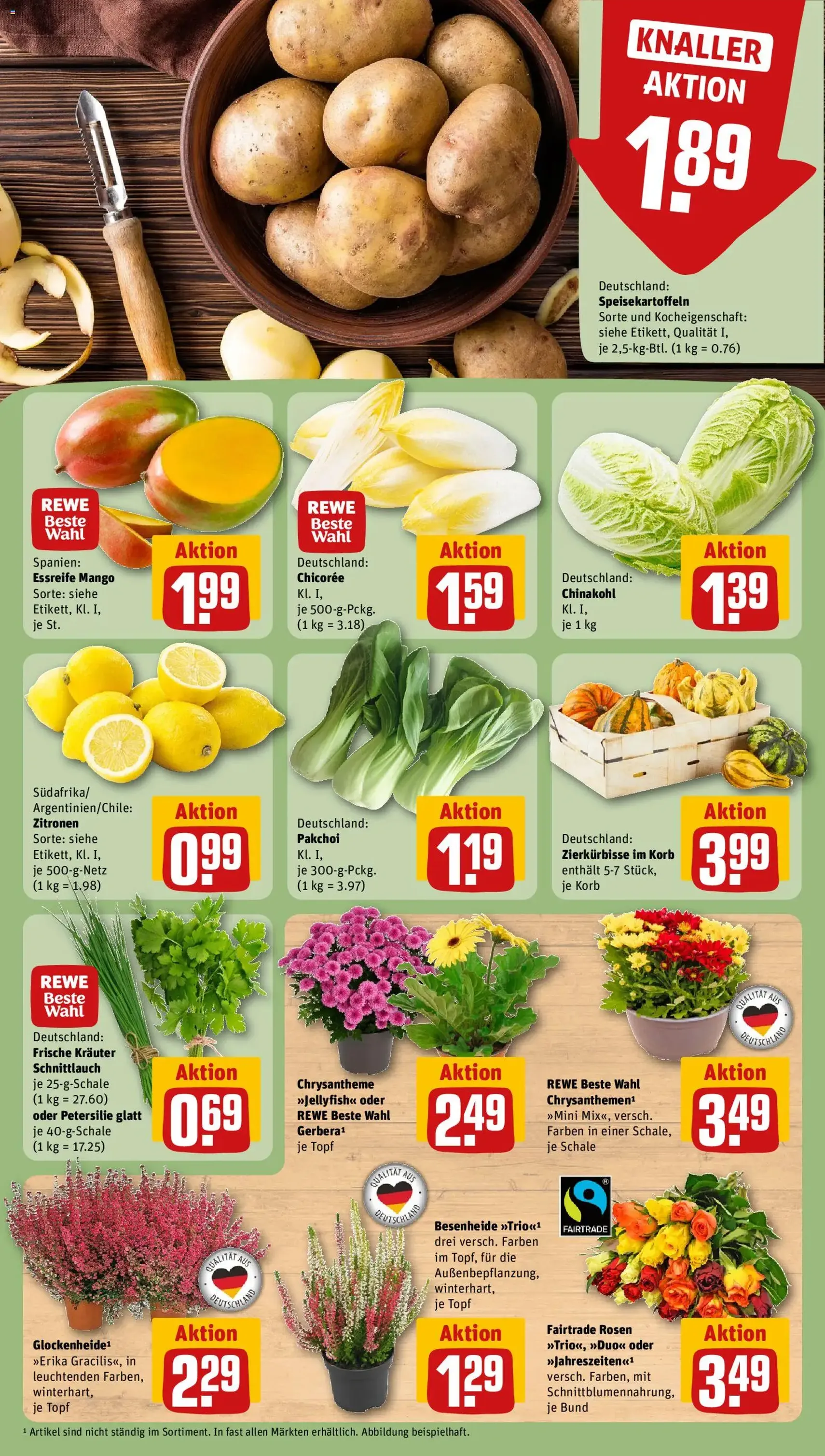 Rewe Prospekt - Gültiger Prospekt ab 21.09.2026, Seite 13 von insgesamt 26