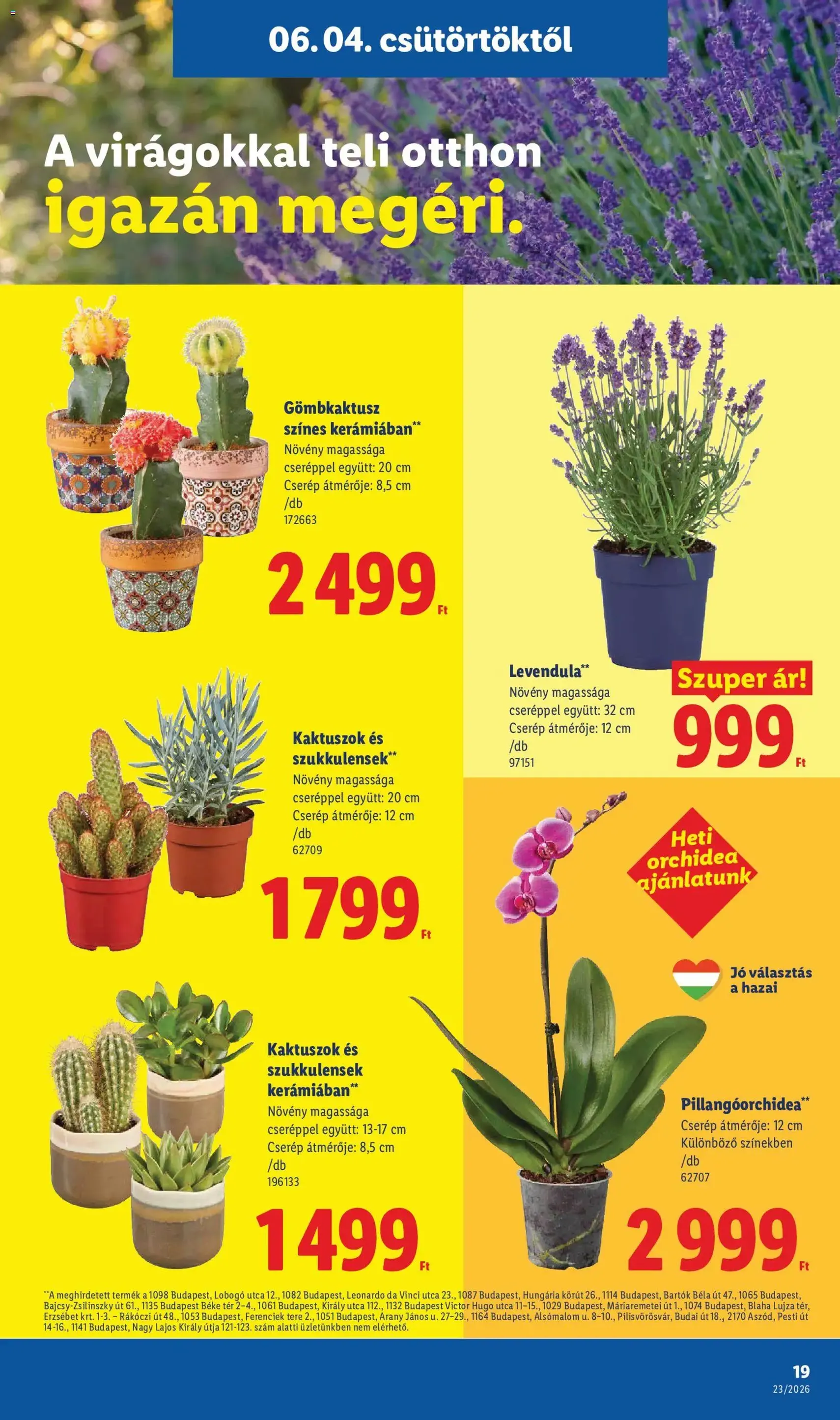 Lidl akciós újság - 2026.06.04. érvényes szórólap 19 oldal 80 oldalból