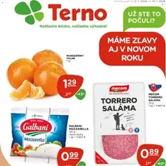 Terno leták - náhľad letáku platný od 08.01.2026