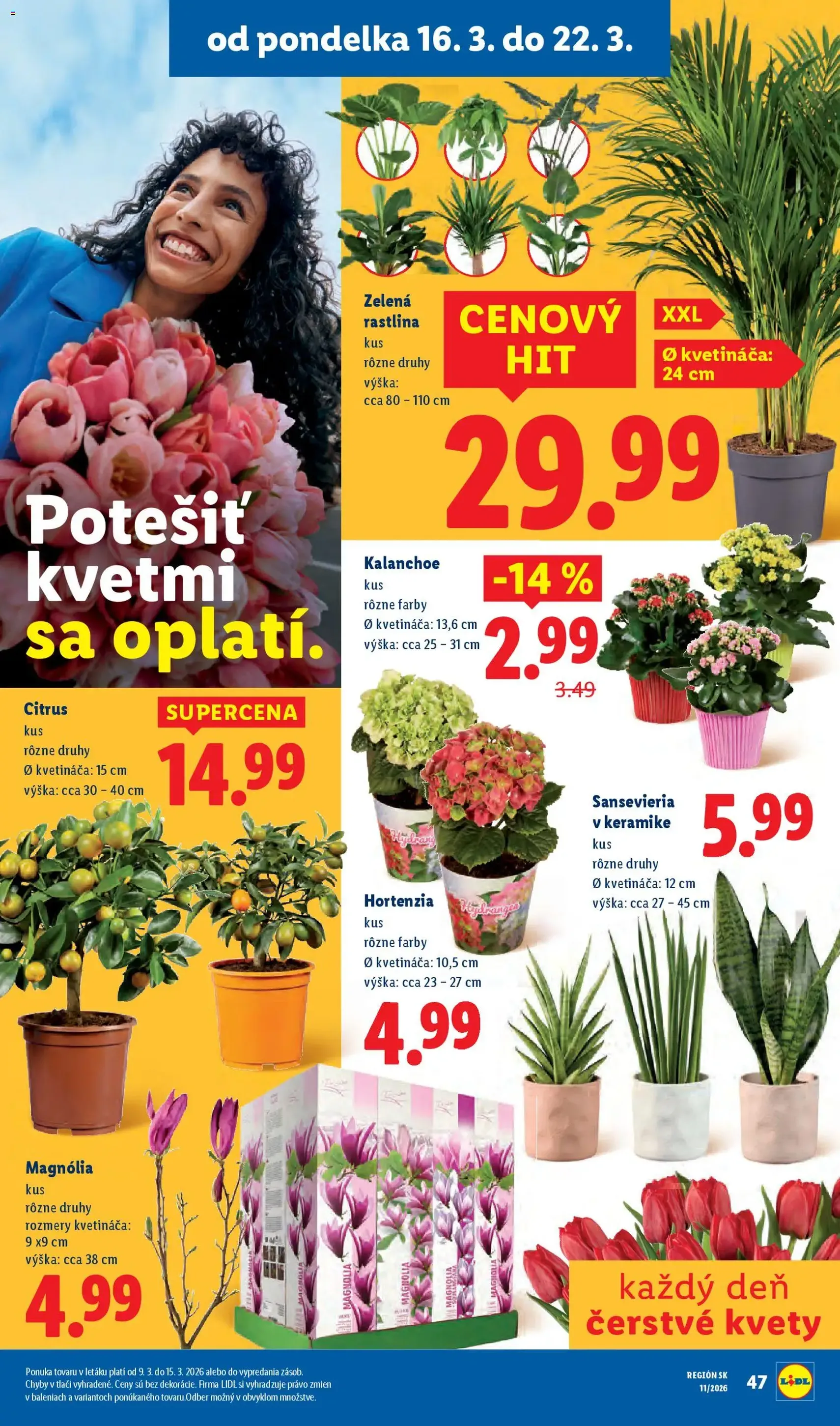 Lidl Leták - platný leták od 16.03.2026 strana 56 z 104