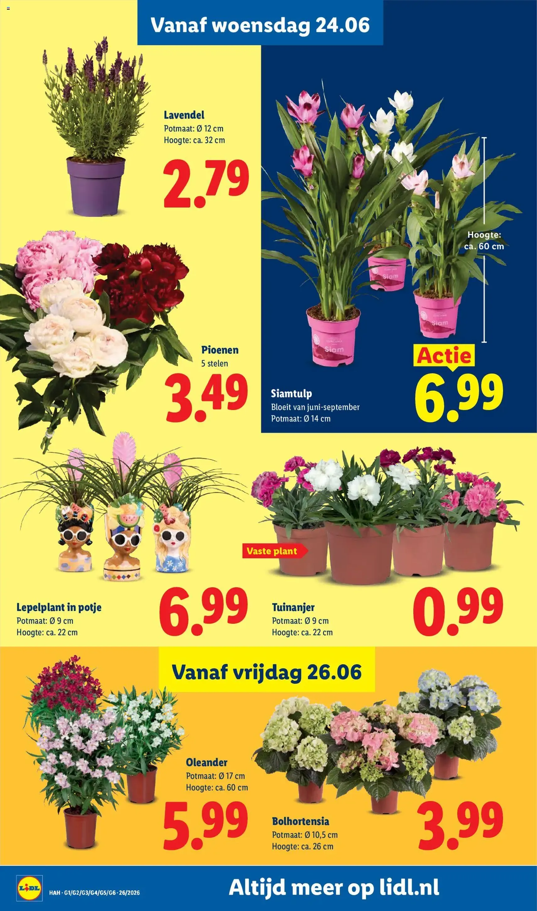 Lidl folder week 26 - geldige folder vanaf 22-06-2026 pagina 19 van 46