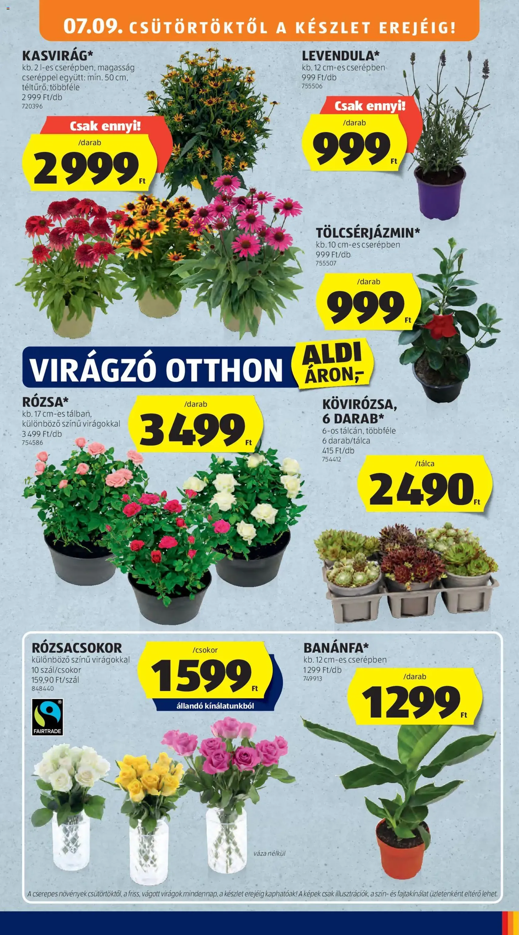 Aldi akciós újság - 2026.07.09. érvényes szórólap 45 oldal 56 oldalból