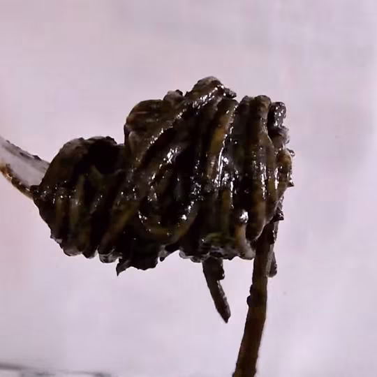 Anteprima ricetta Spaghetti al nero di seppia