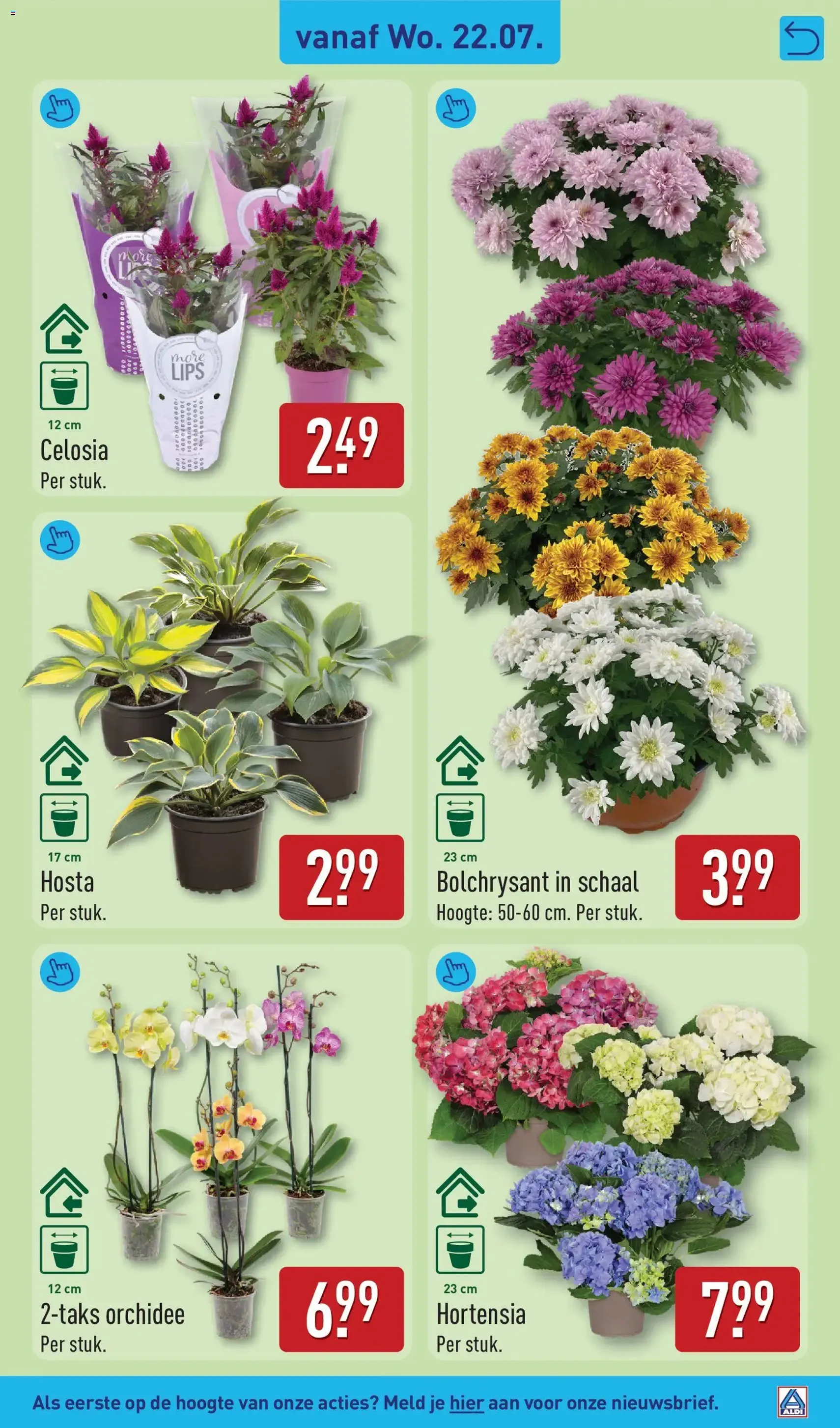 Aldi folder week 30 - geldige folder vanaf 20-07-2026 pagina 37 van 64