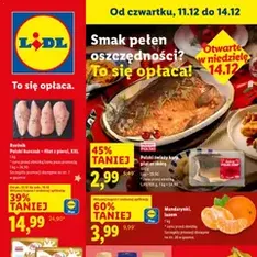 Lidl Gazetka - podgląd gazetki ważnej od 11.12.2025