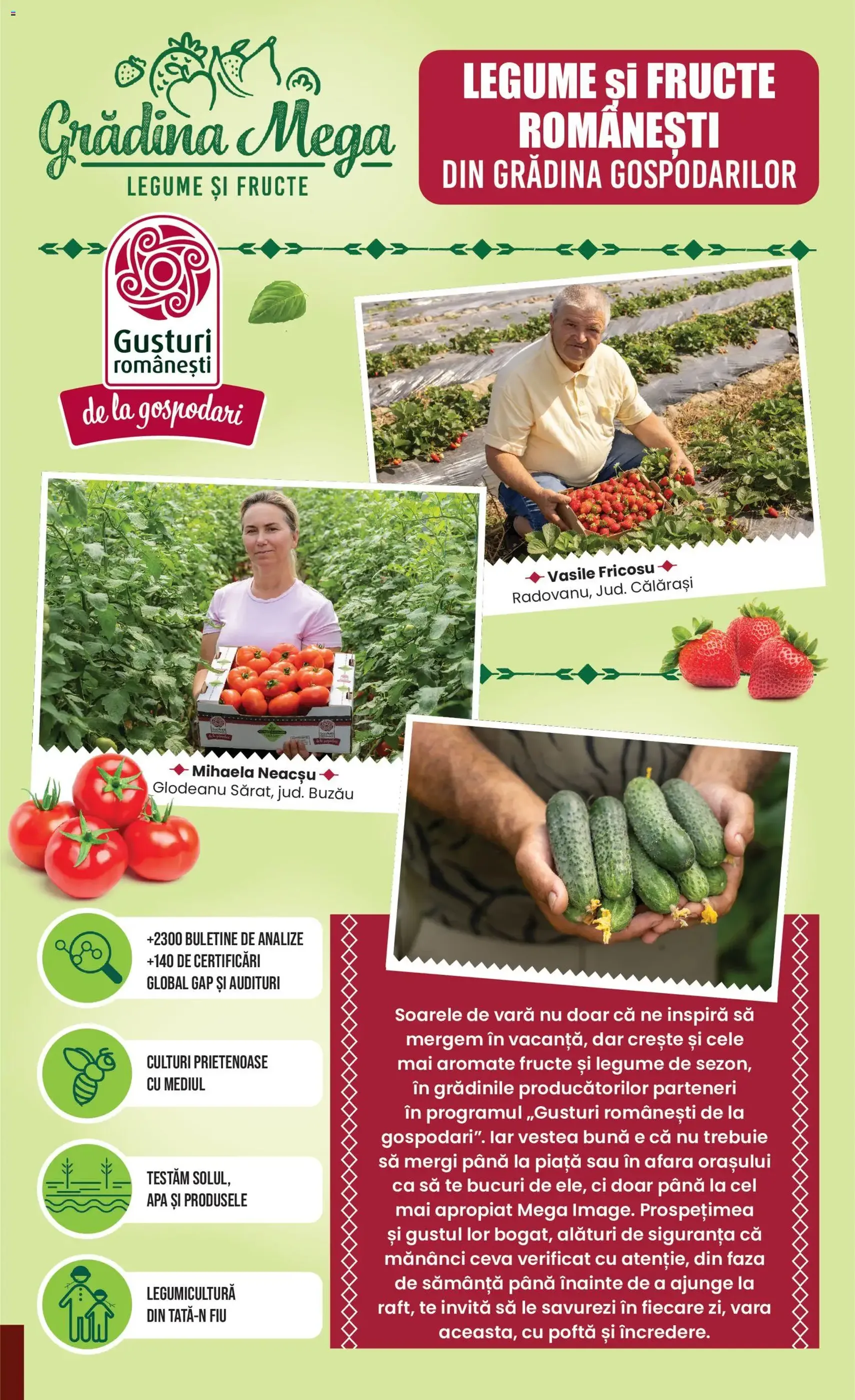 Mega Image Catalog - cataloage valabile începând cu 02.07.2026 pagina 7 din 24