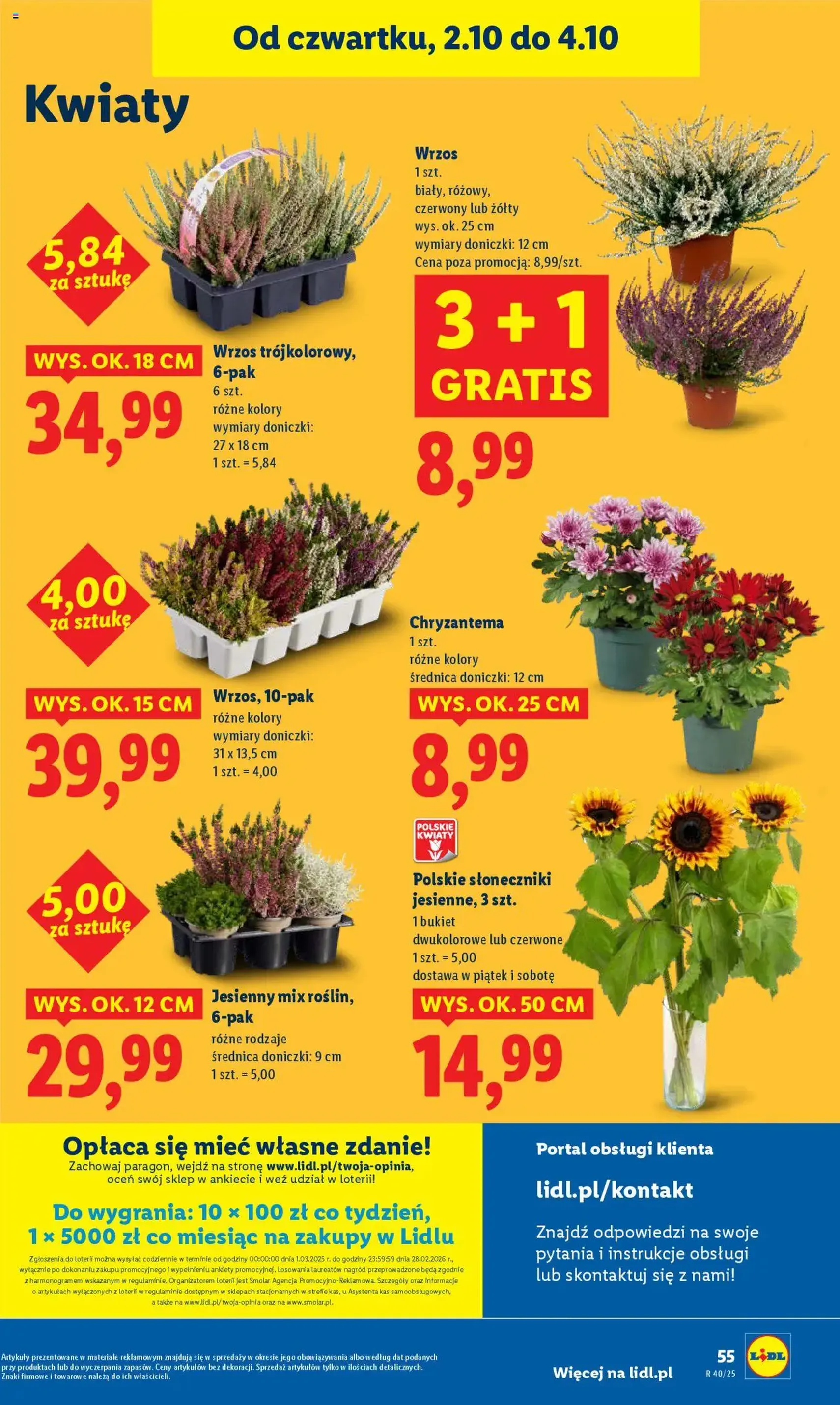 Lidl Gazetka - ważny gazetka od 02.10.2025 strona 59 z 74
