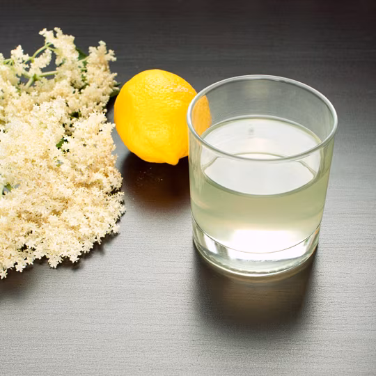 Anteprima ricetta Succo di sambuco