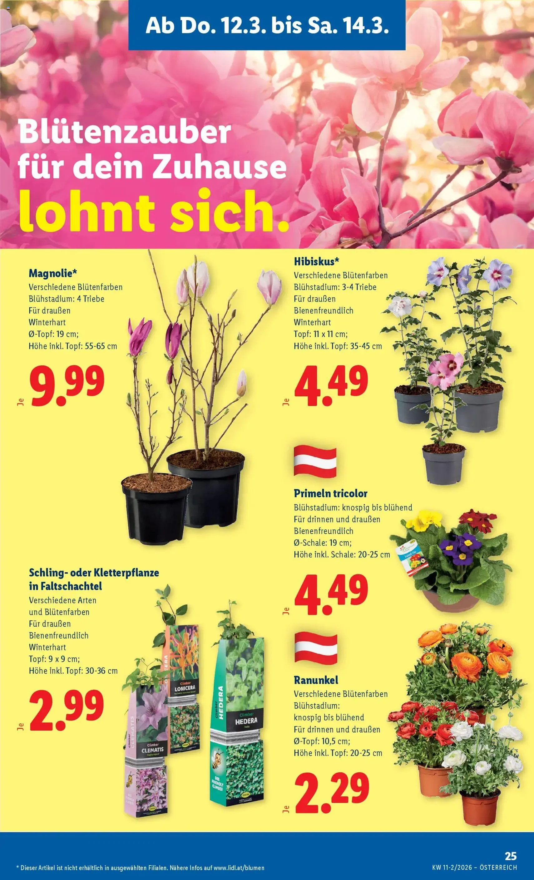 Lidl - Flugblatt - Gültiger Prospekt ab 12.03.2026, Seite 29 von insgesamt 48