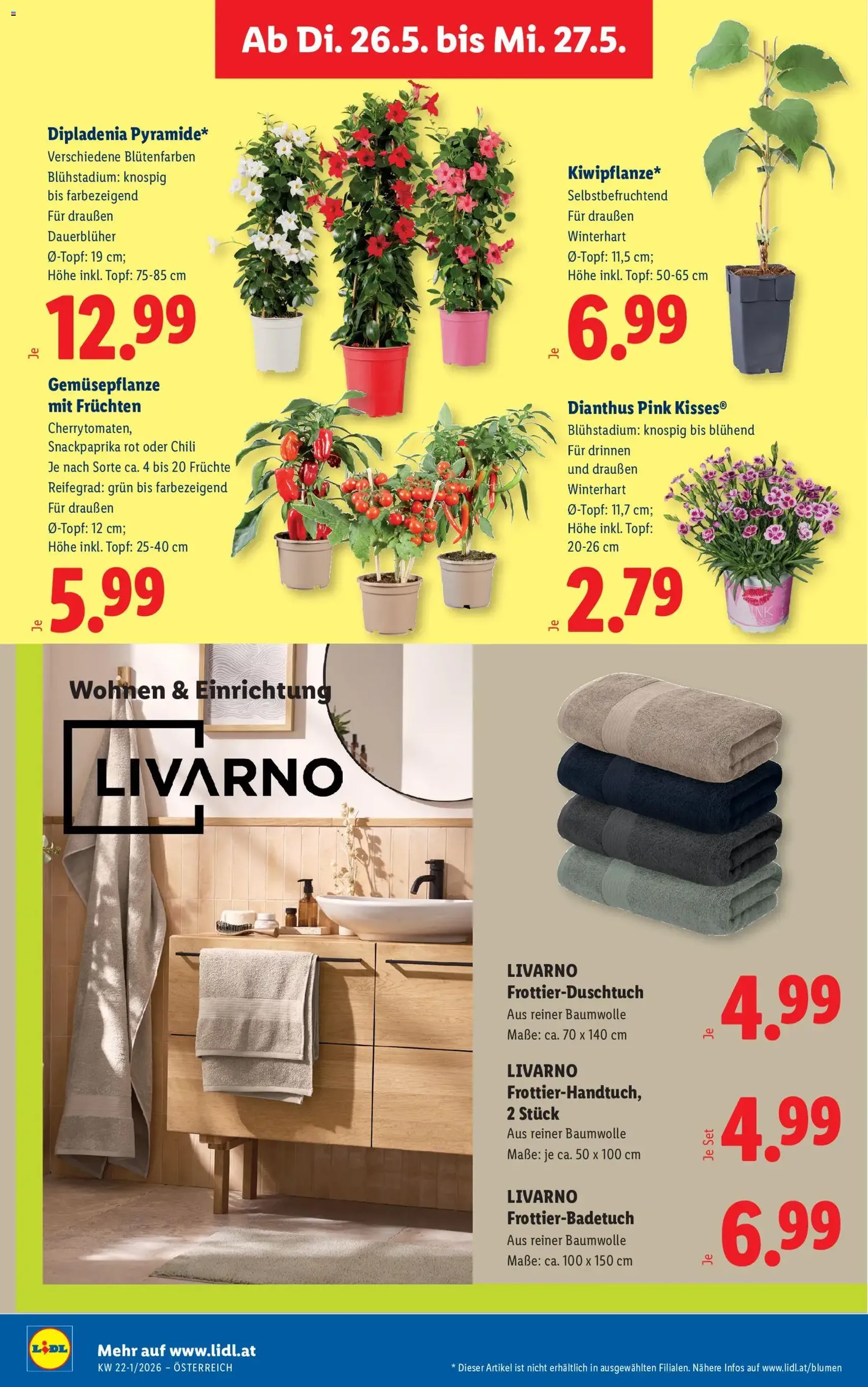 Lidl - Flugblatt - Gültiger Prospekt ab 21.05.2026, Seite 29 von insgesamt 51