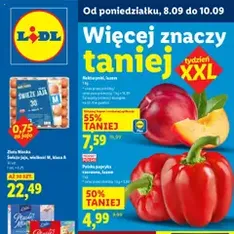 Lidl Gazetka - podgląd gazetki ważnej od 08.09.2025