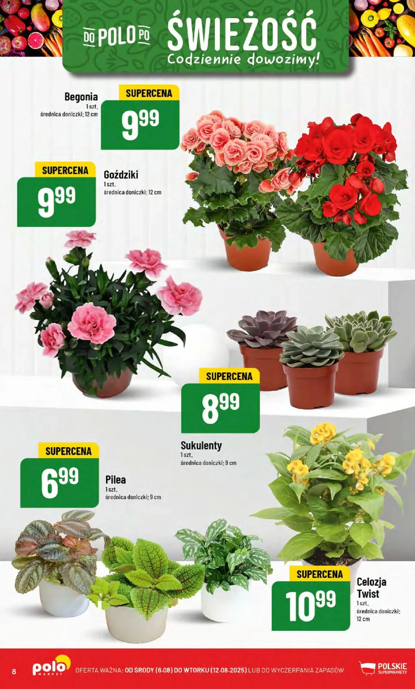 POLOmarket Gazetka - ważny gazetka od 06.08.2025 strona 8 z 68 POLOmarket Gazetka - ważny gazetka od 06.08.2025 strona 8 z 68