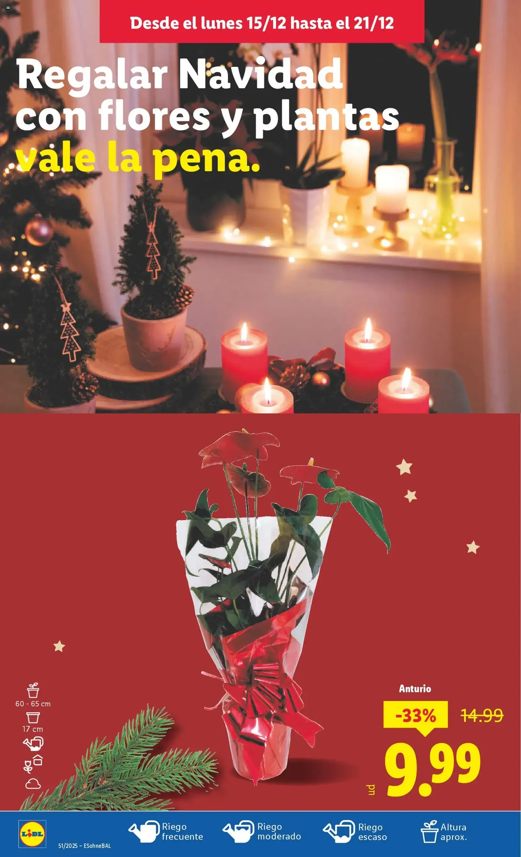 Lidl folleto - folleto válido desde 15/12/2025 página 46 de 47