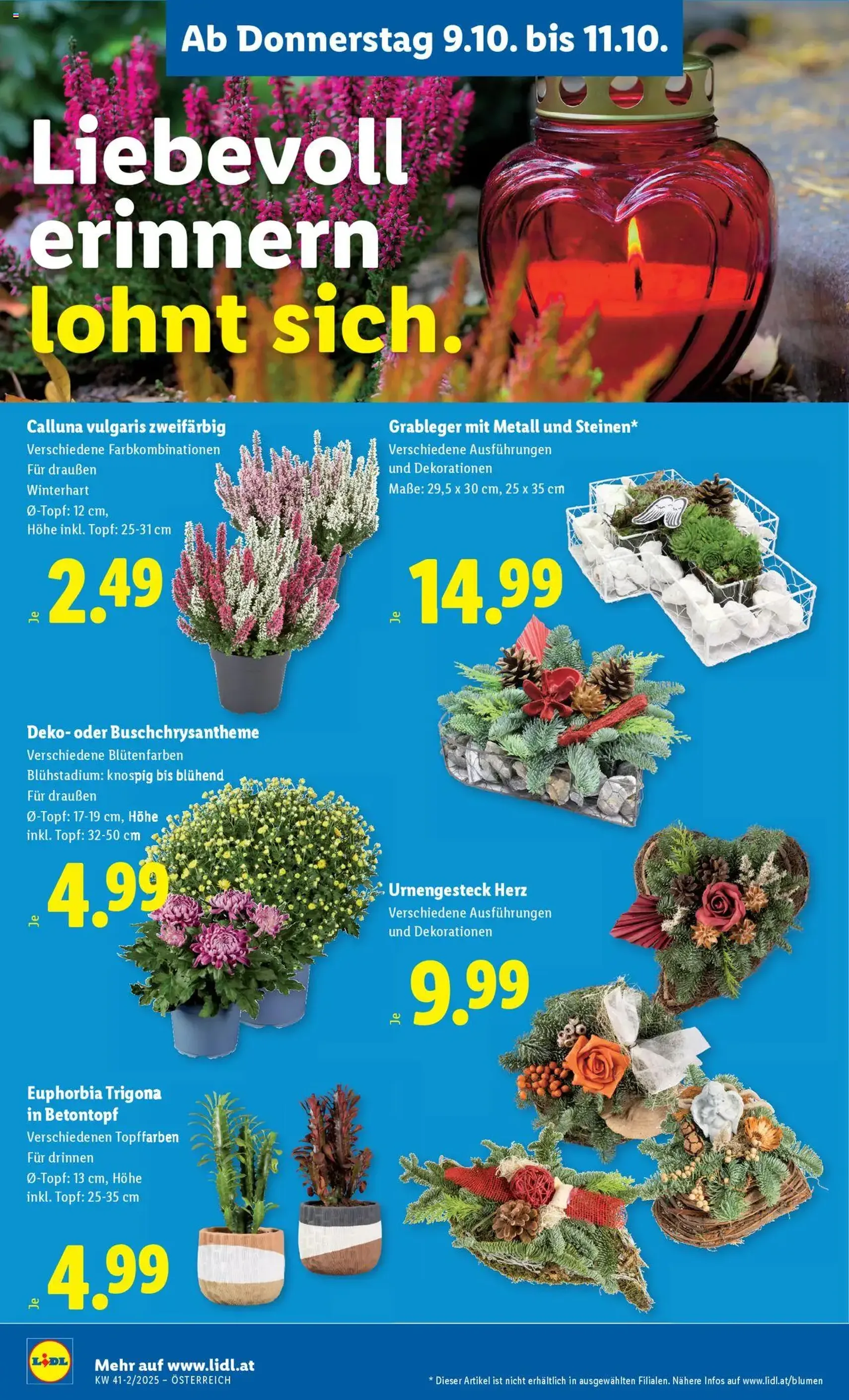 Lidl Flugblatt - - Gültiger Prospekt ab 09.10.2025, Seite 28 von insgesamt 48