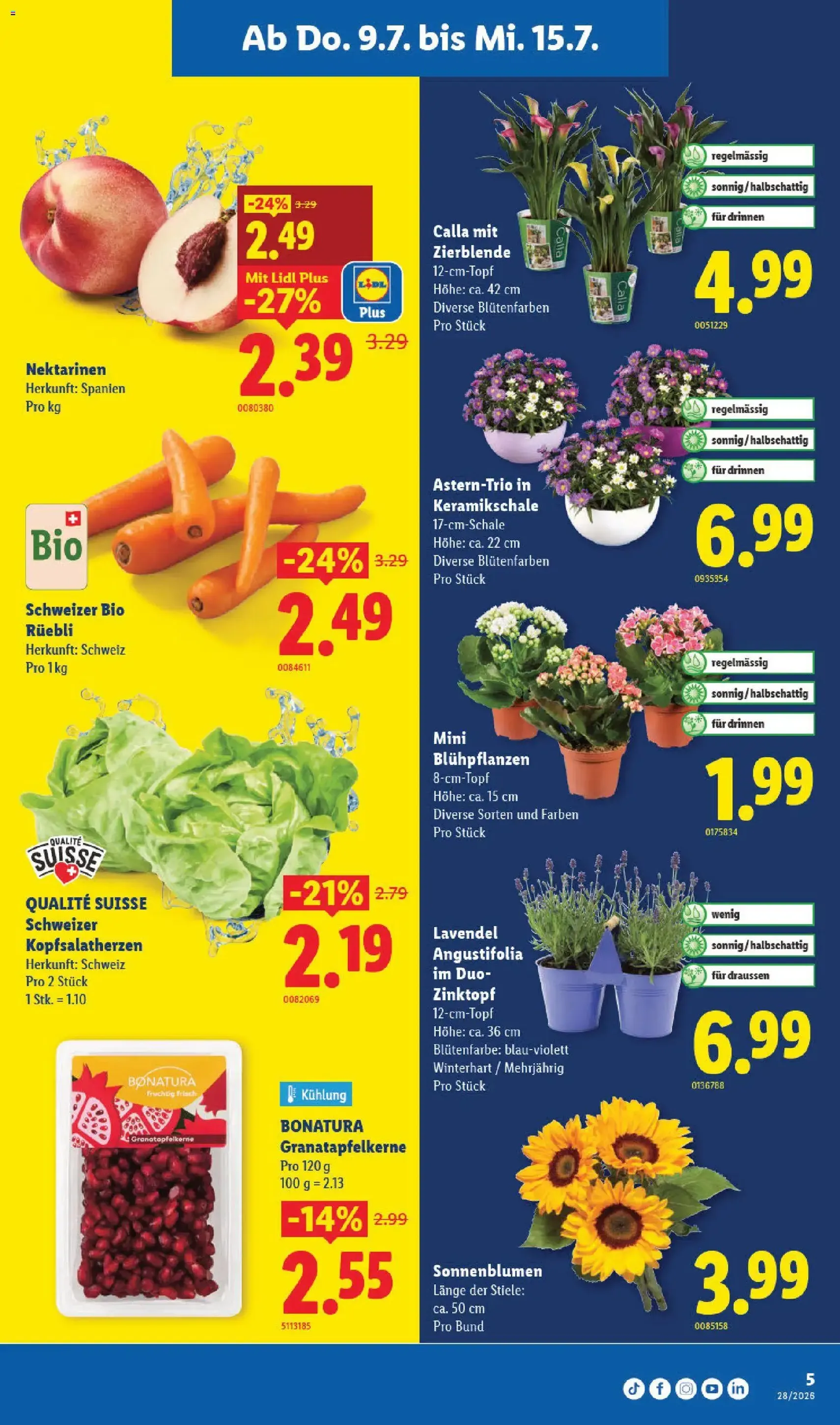 Lidl aktionen - Gültiger Prospekt ab 09.07.2026, Seite 5 von insgesamt 36