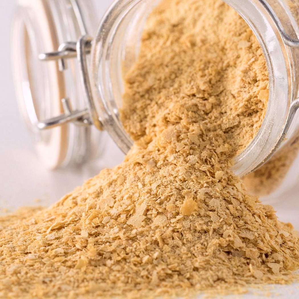 Lievito di Birra Secco