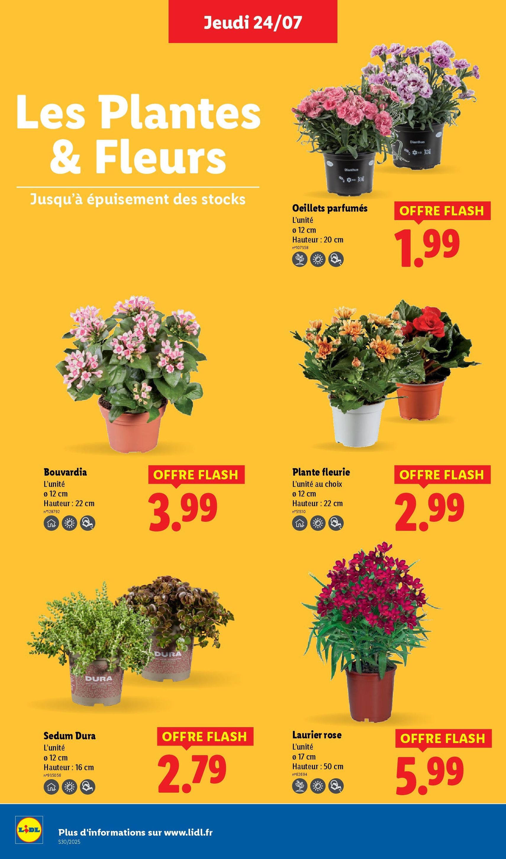 LIDL catalogue semaine 29 - brochure valable à partir du 24/07/2025, page 28 sur 73 LIDL catalogue semaine 29 - brochure valable à partir du 24/07/2025, page 28 sur 73