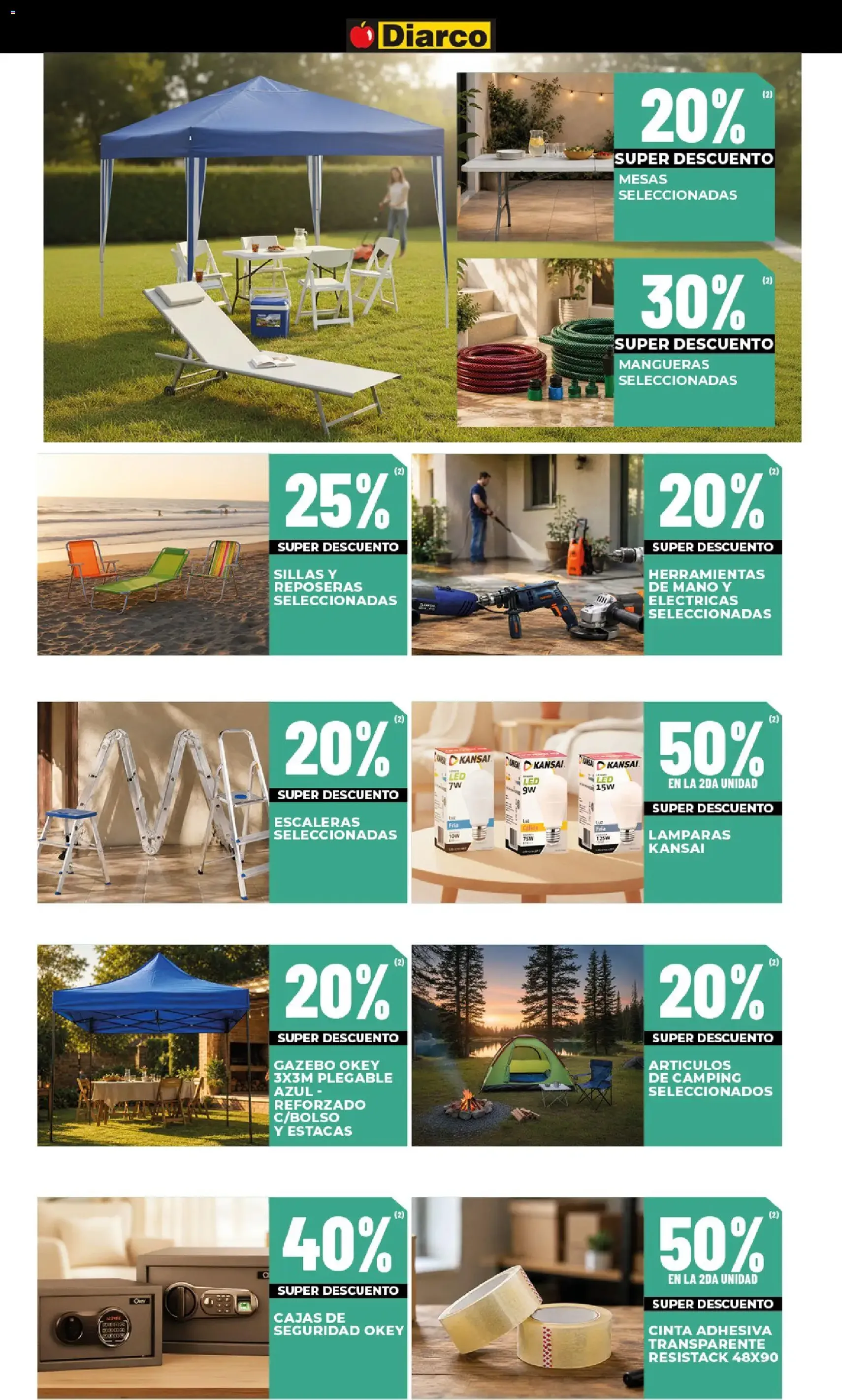 Diarco - Ofertas Sur - folleto válido desde 03/08/2026 página 20 de 21