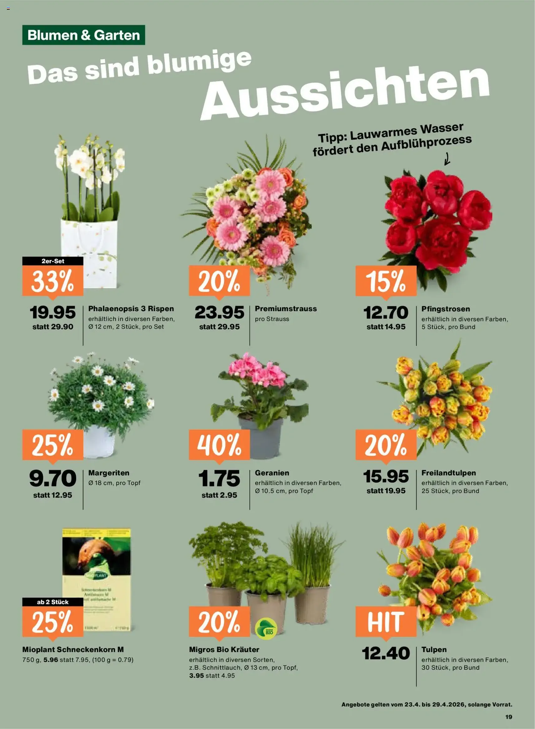 Migros aktionen - Gültiger Prospekt ab 23.04.2026, Seite 19 von insgesamt 20