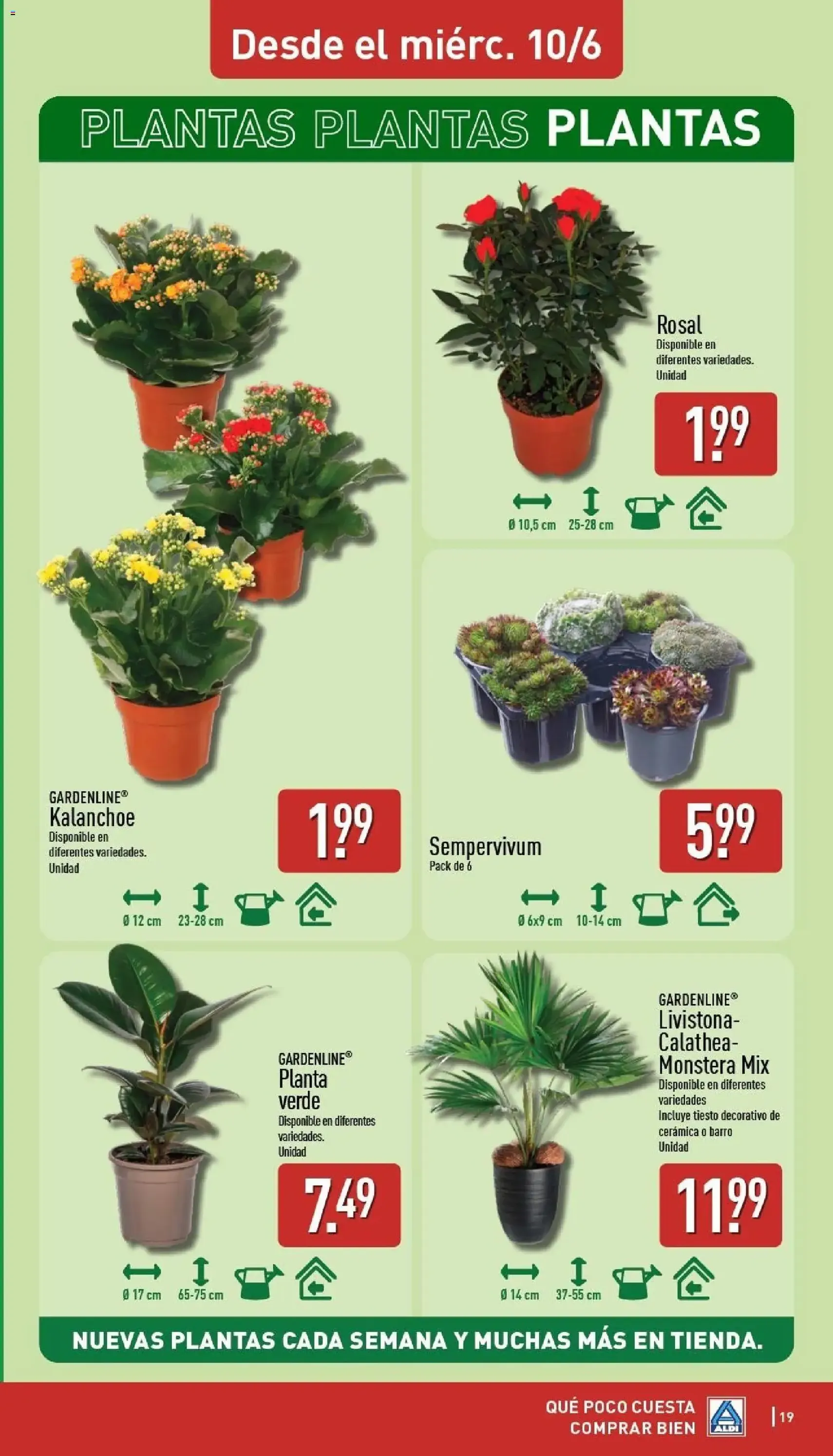 Aldi folleto Península - folleto válido desde 08/06/2026 página 19 de 34